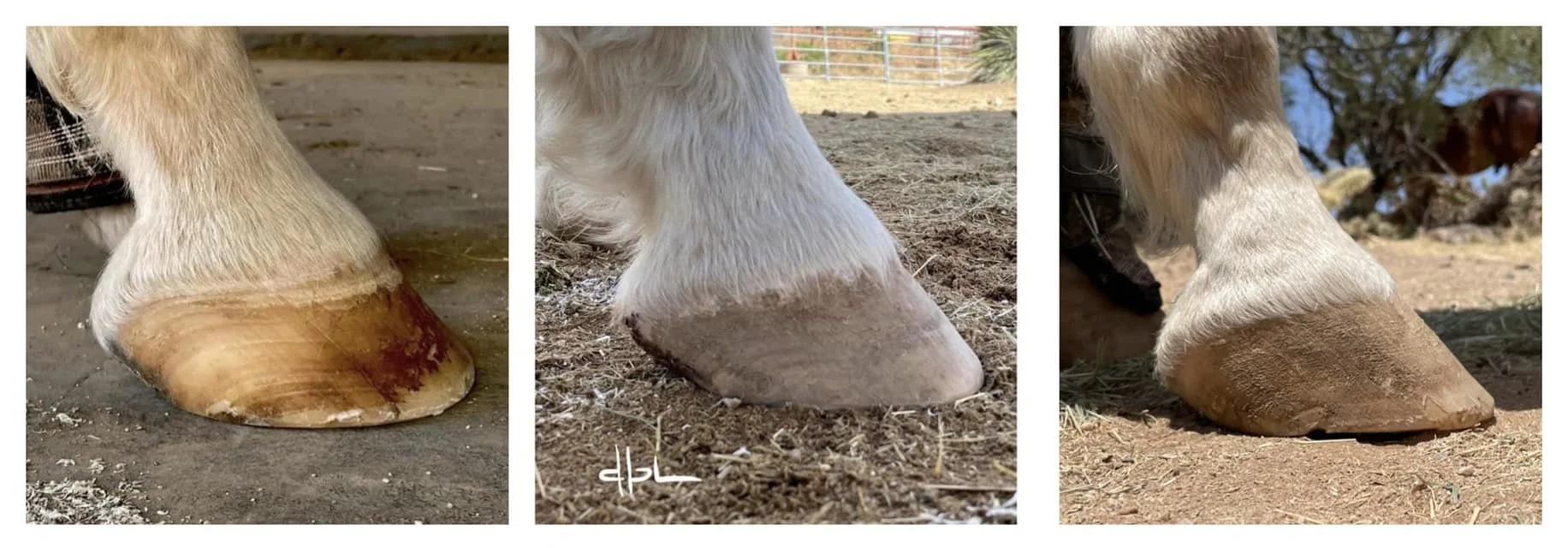 October 2021 - July 2022