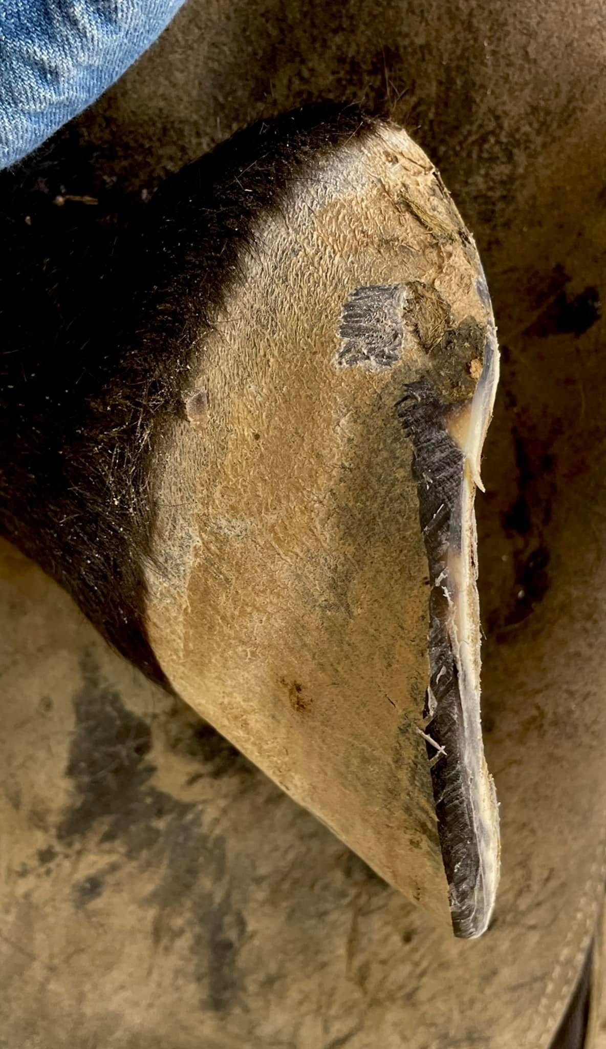 89.jpg