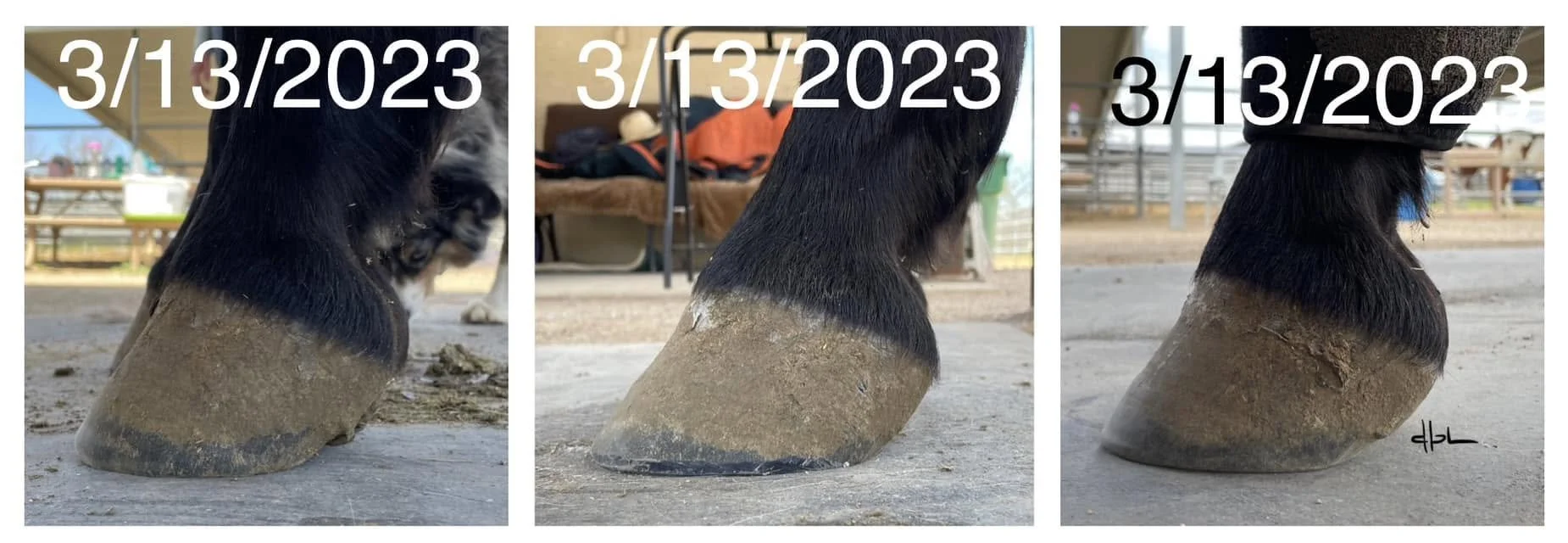 61.jpg