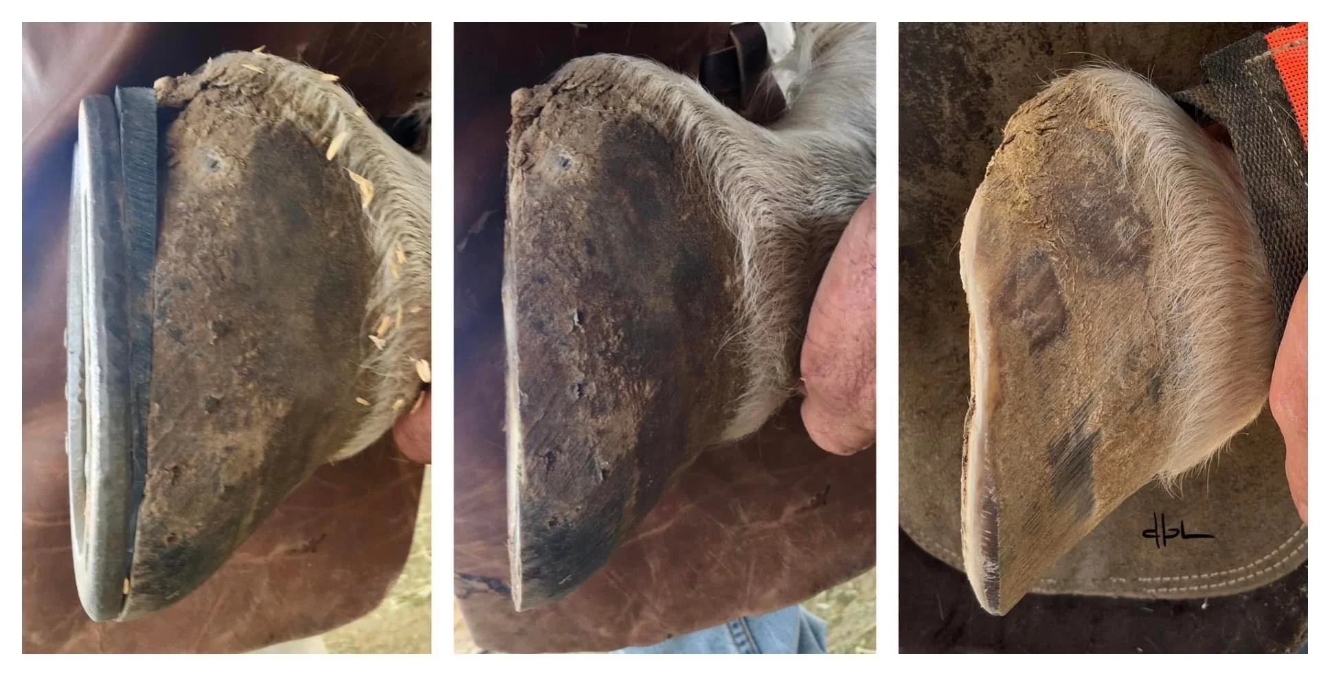 April 2022 - 16 months progress after pulling steel shoes and wedge pads