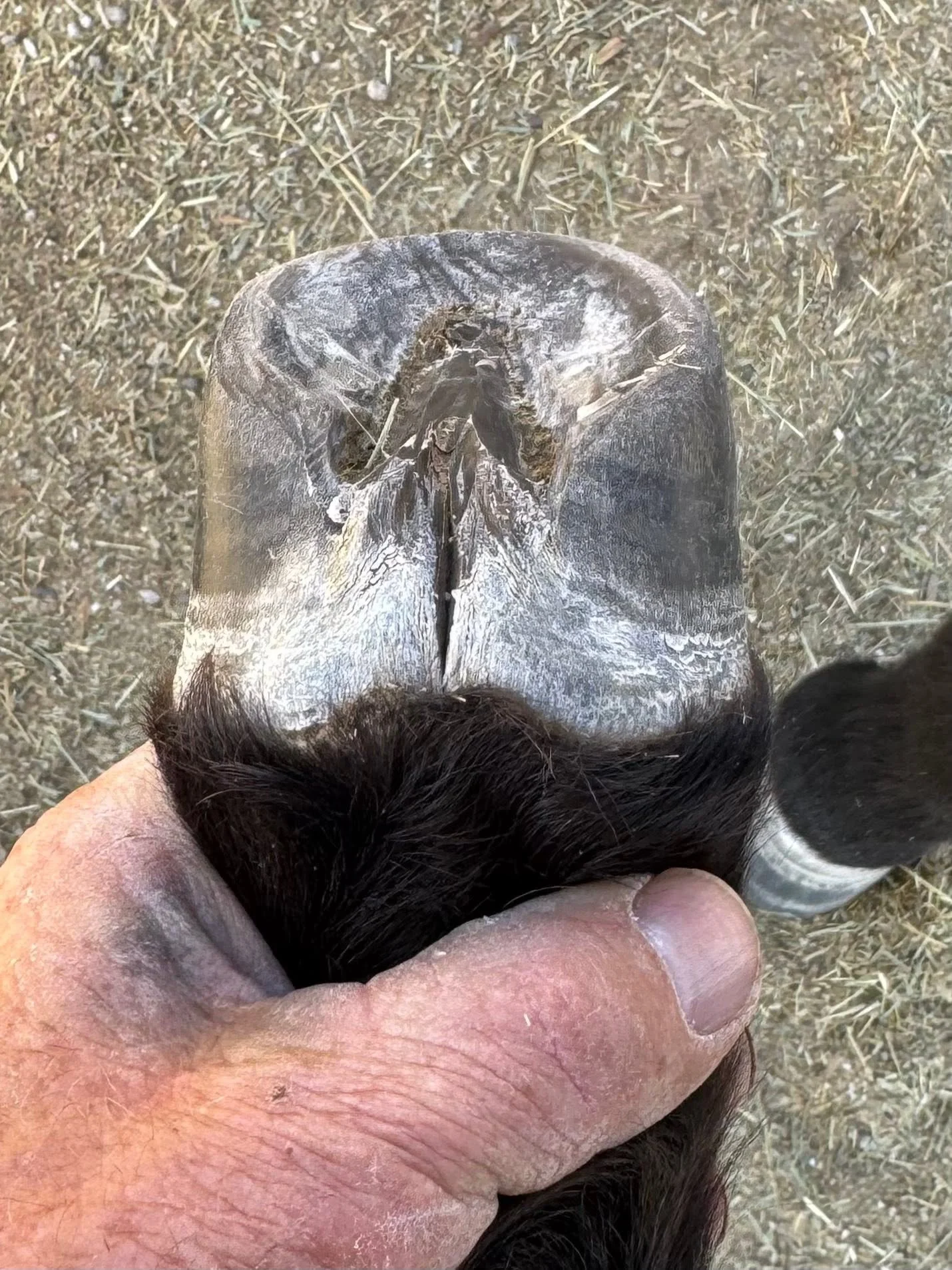 56.jpg