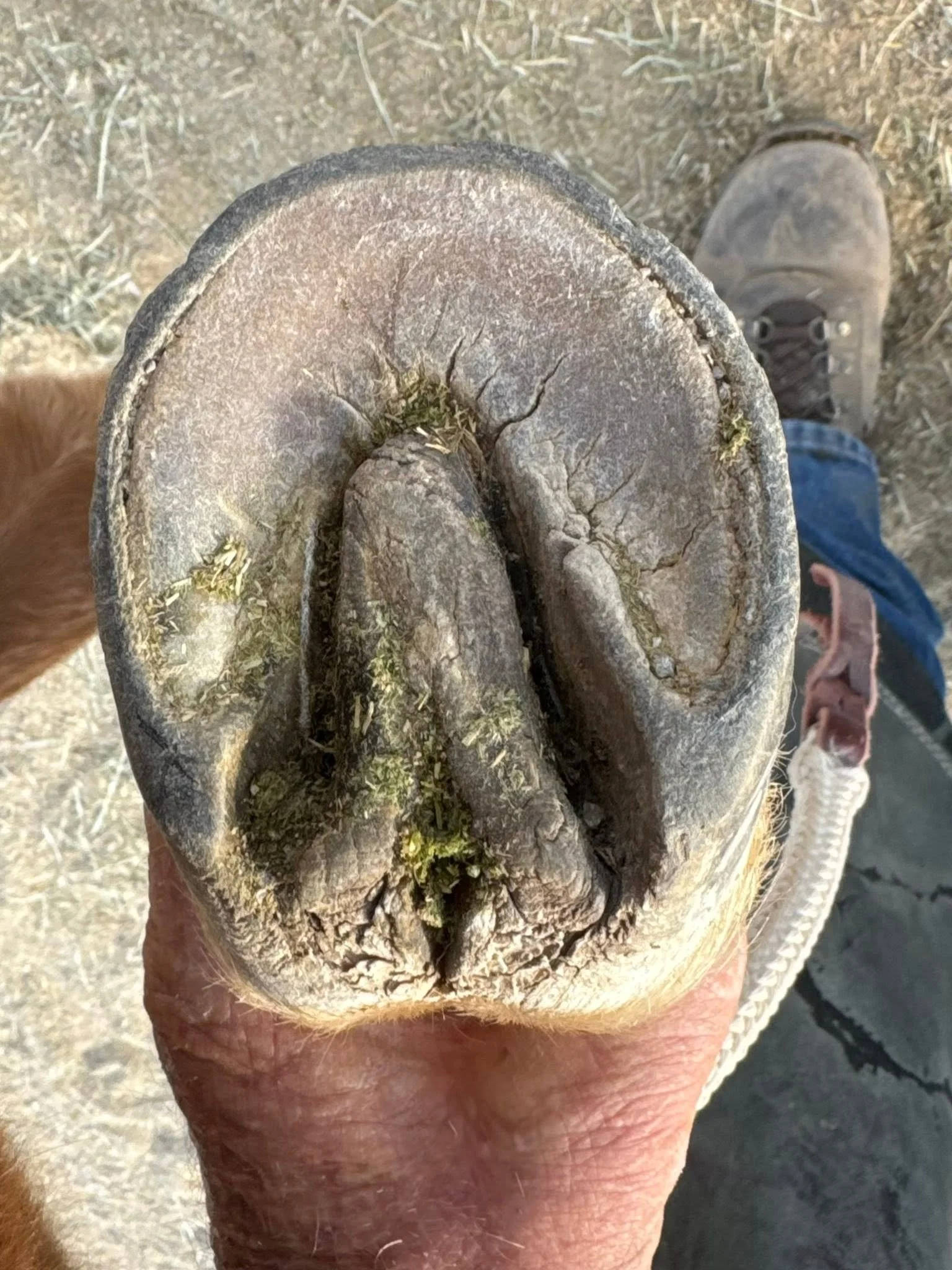 67.jpg