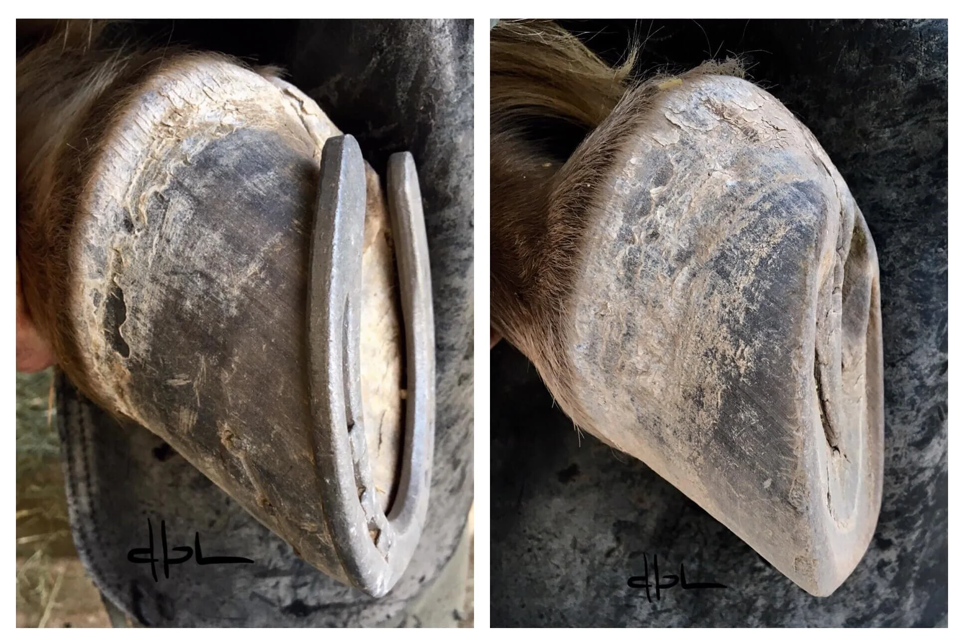 January 2021 - June 2021