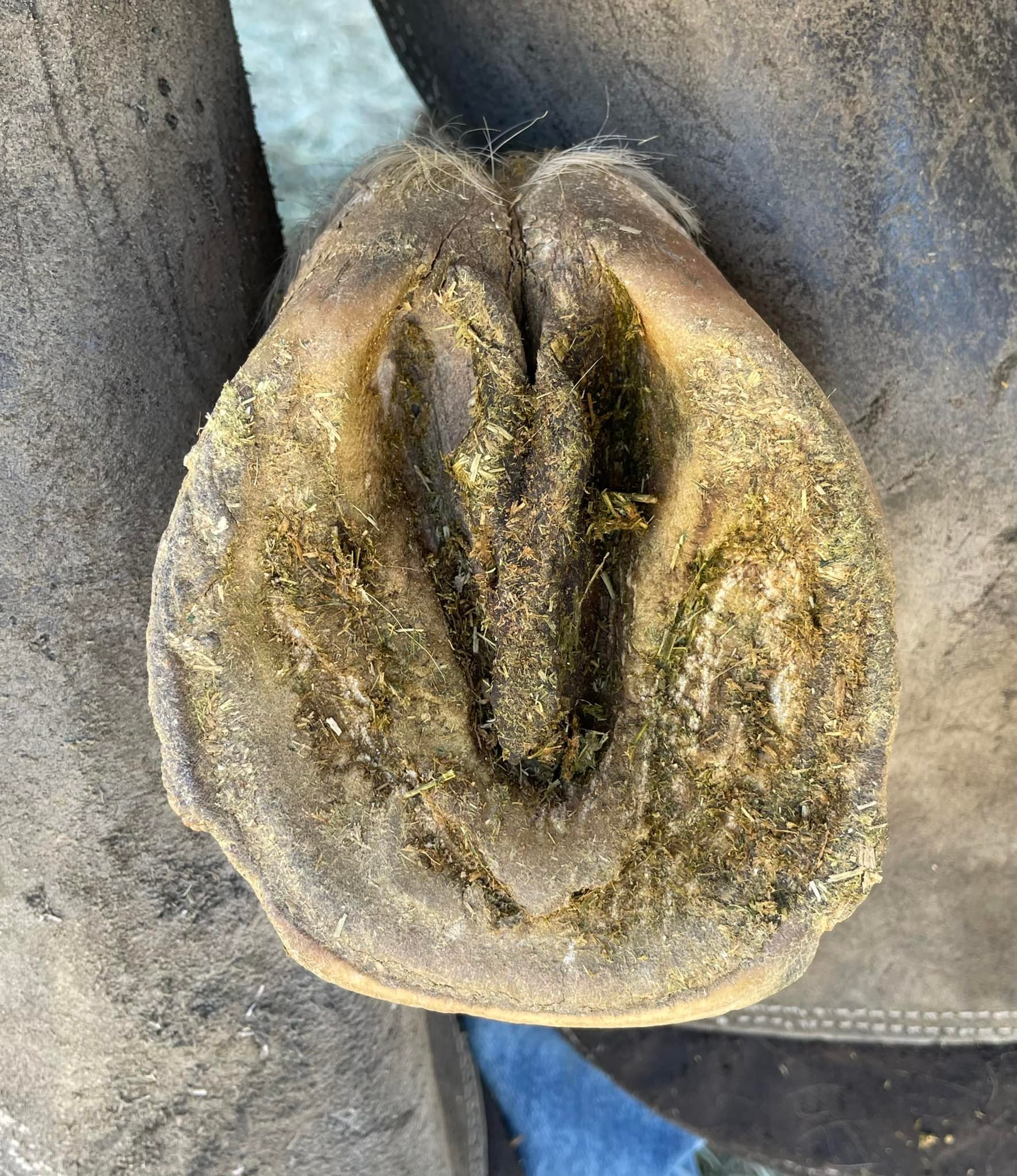 66.jpg