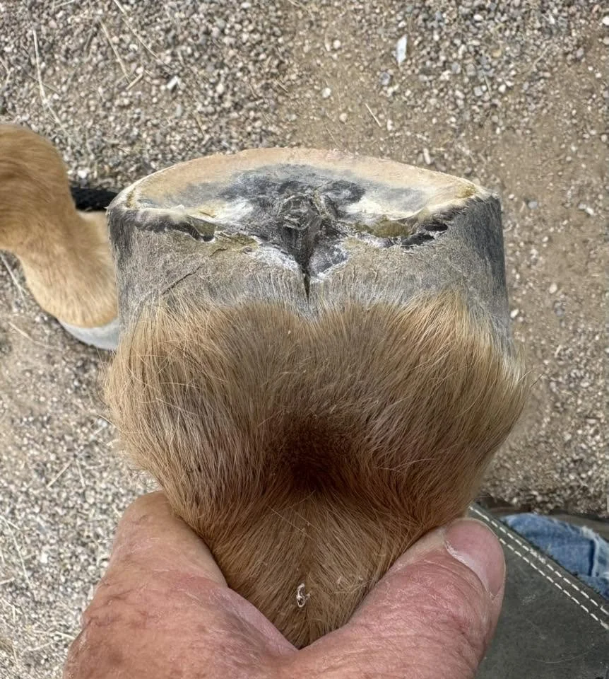 69.jpg