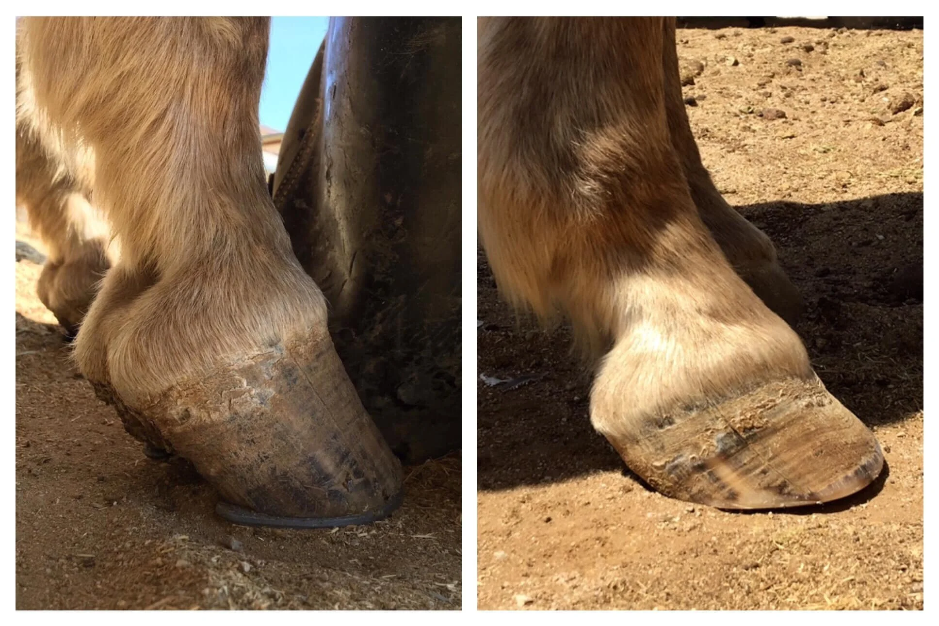 October 2020 - April 2021