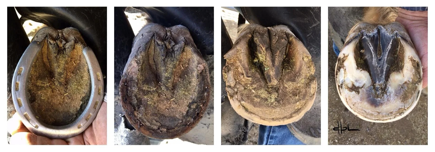 October 2020 - April 2021