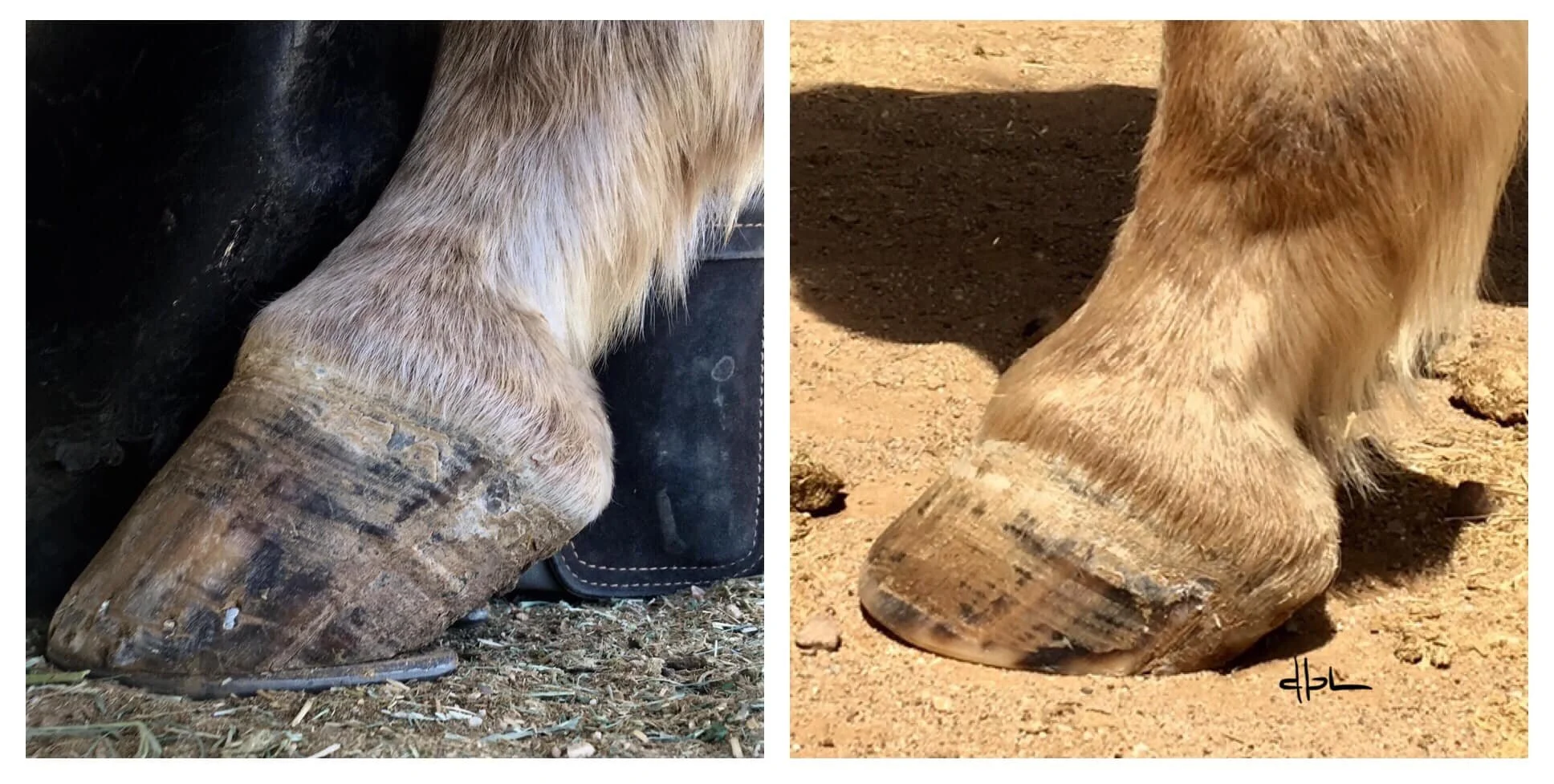 October 2020 - April 2021