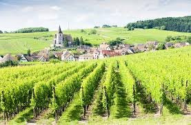 Table-side Tuesdays