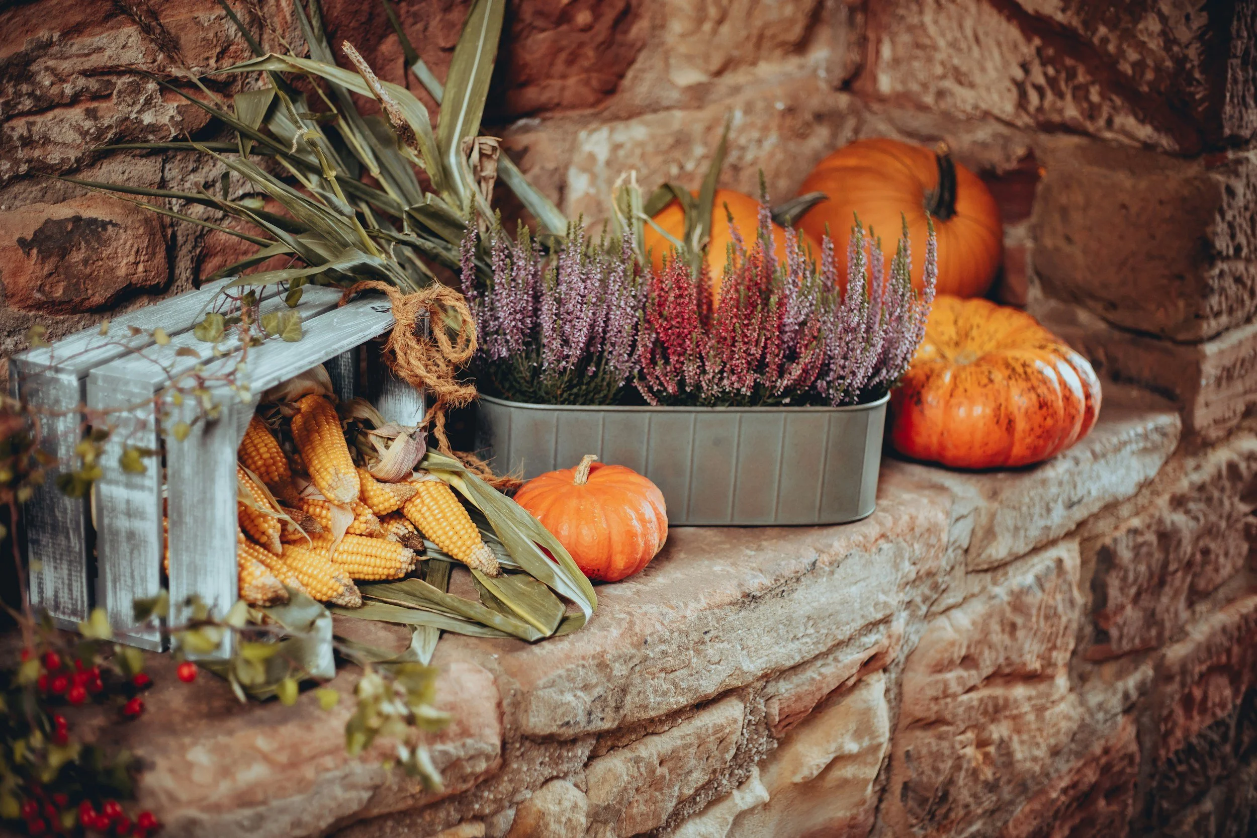 CLOSED FOR THANKSGIVING