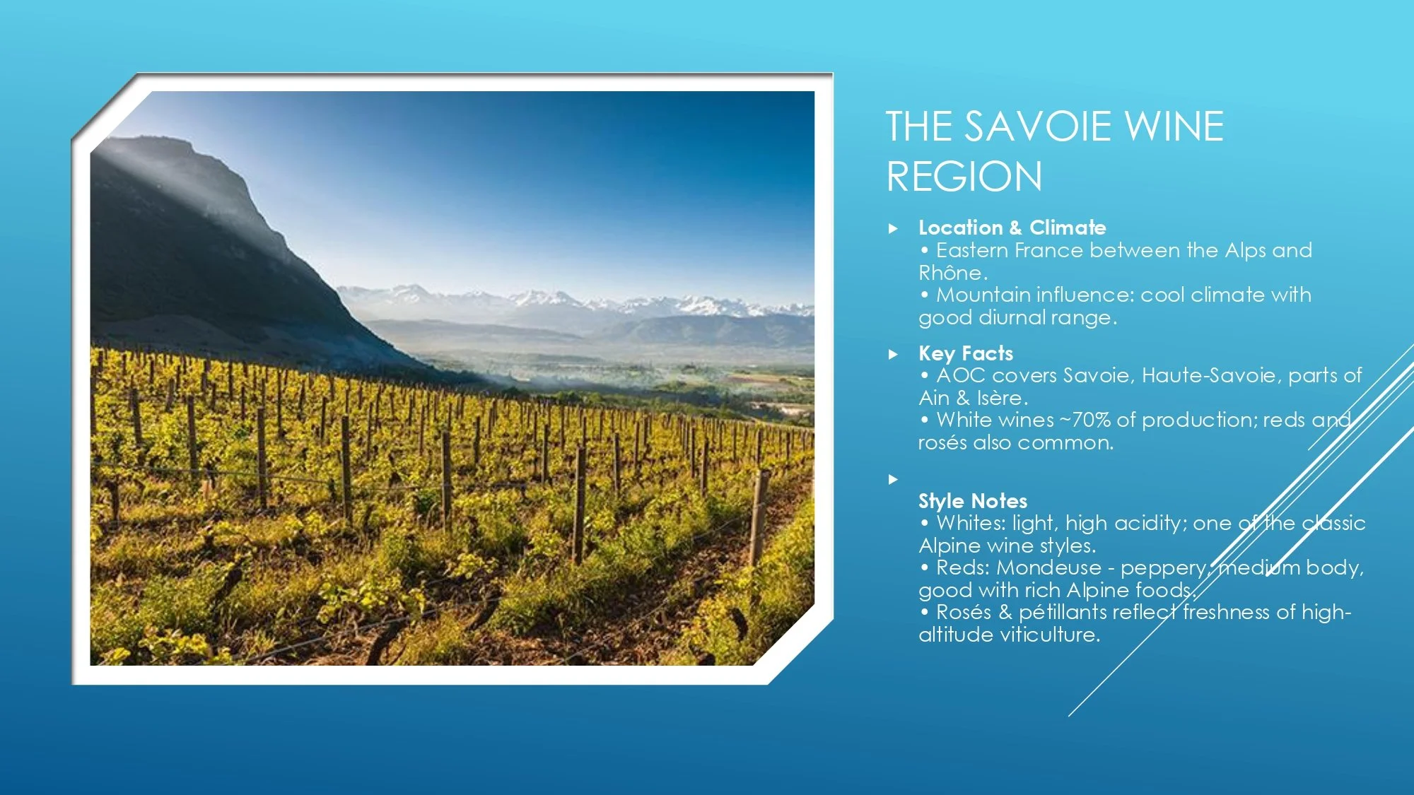 Apres Ski Region of Focus_page-0015.jpg