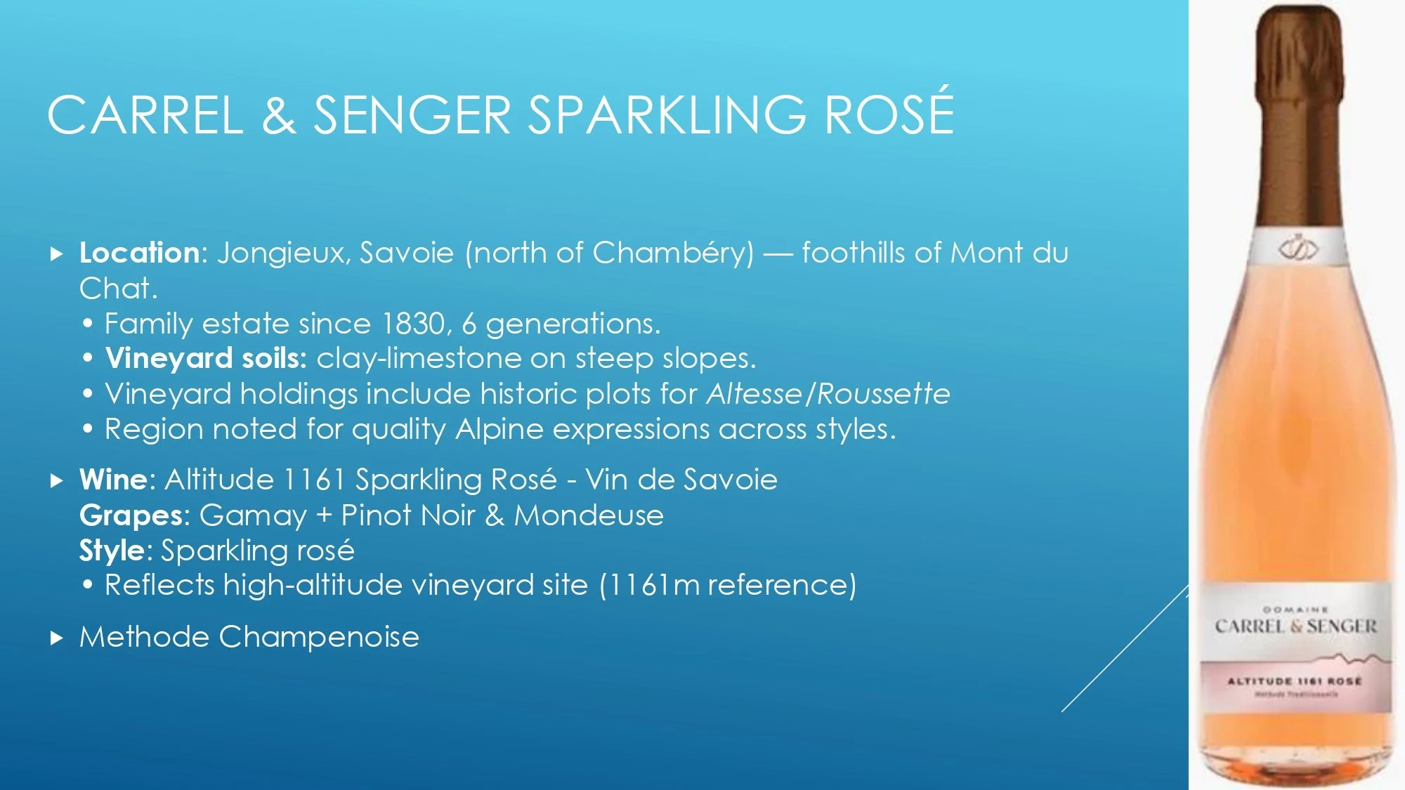 Apres Ski Region of Focus_page-0016.jpg