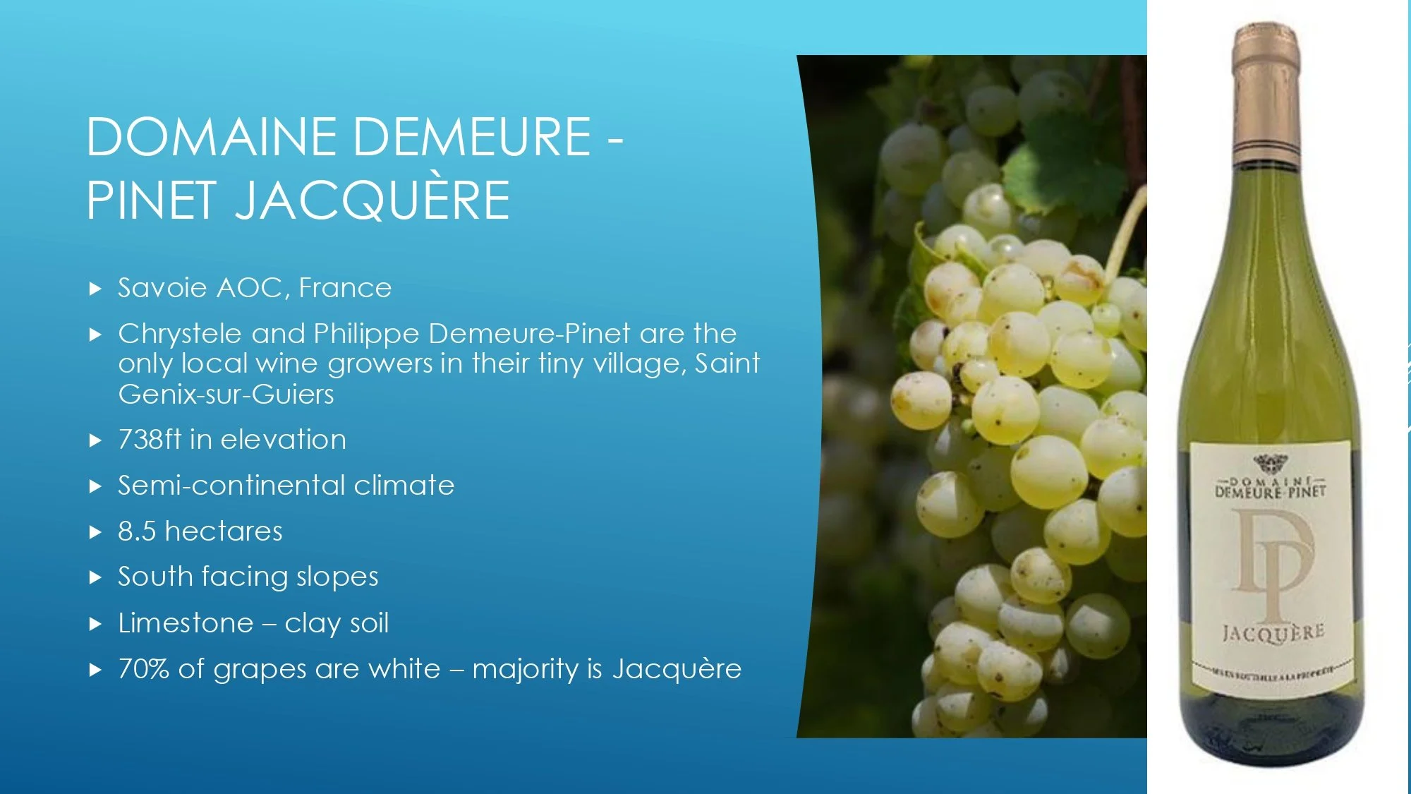 Apres Ski Region of Focus_page-0022.jpg