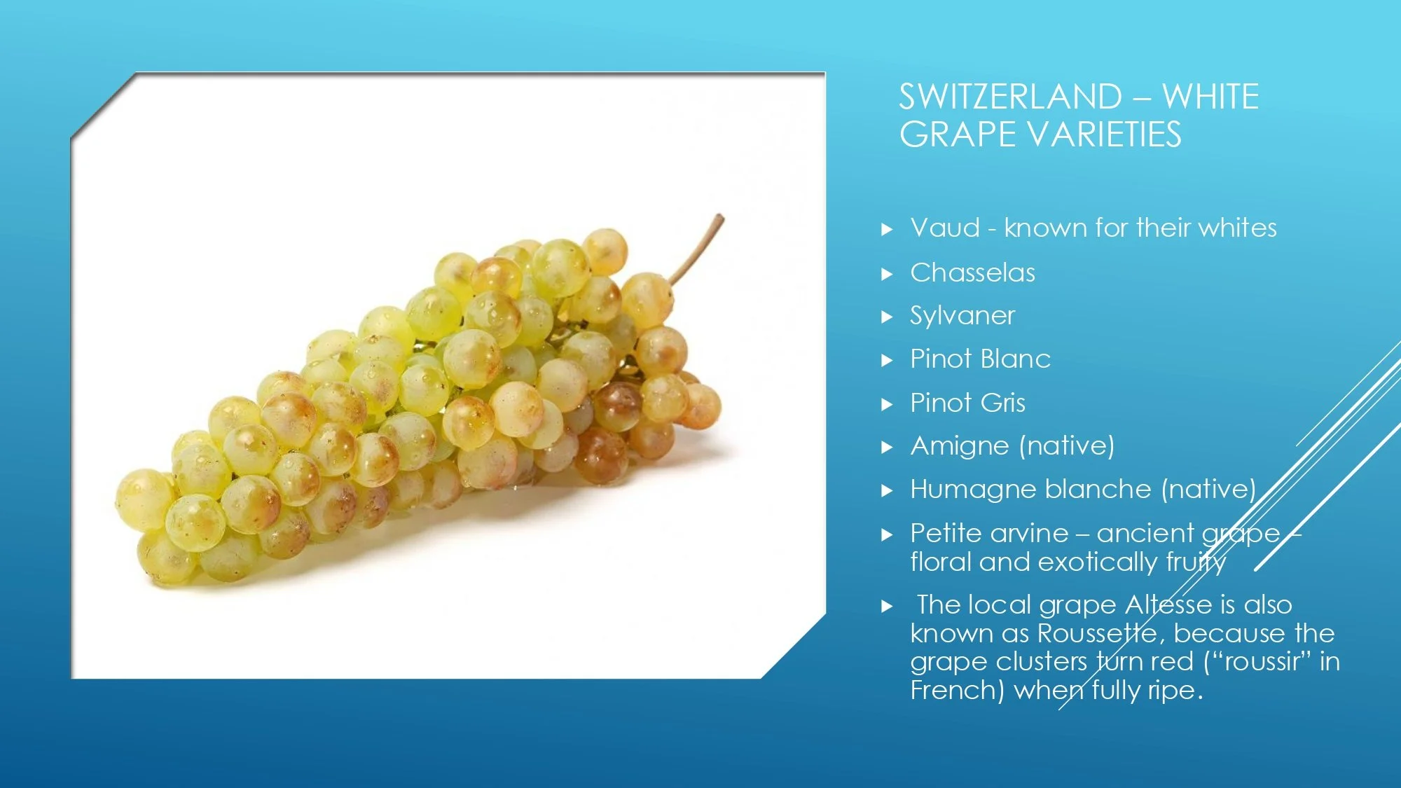 Apres Ski Region of Focus_page-0027.jpg