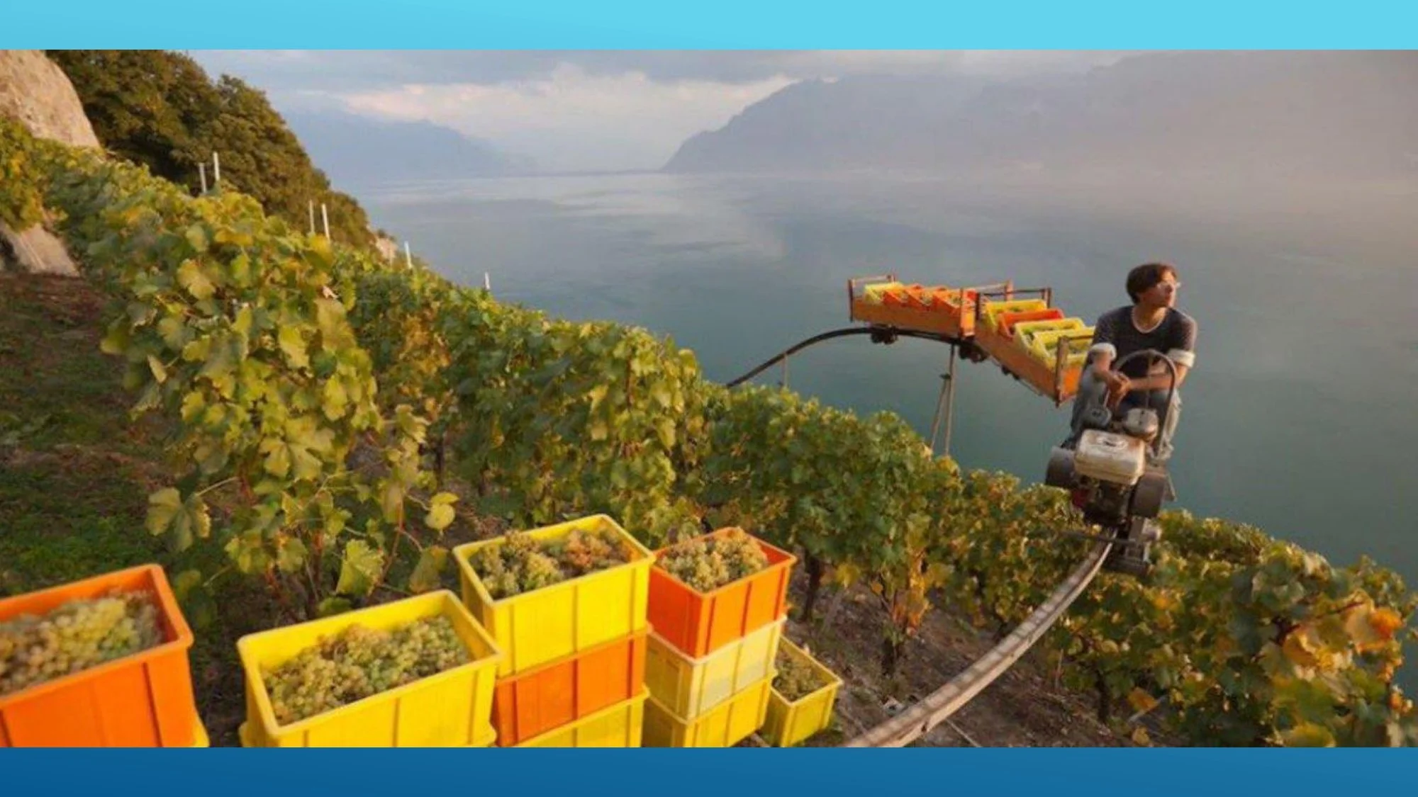 Apres Ski Region of Focus_page-0031.jpg