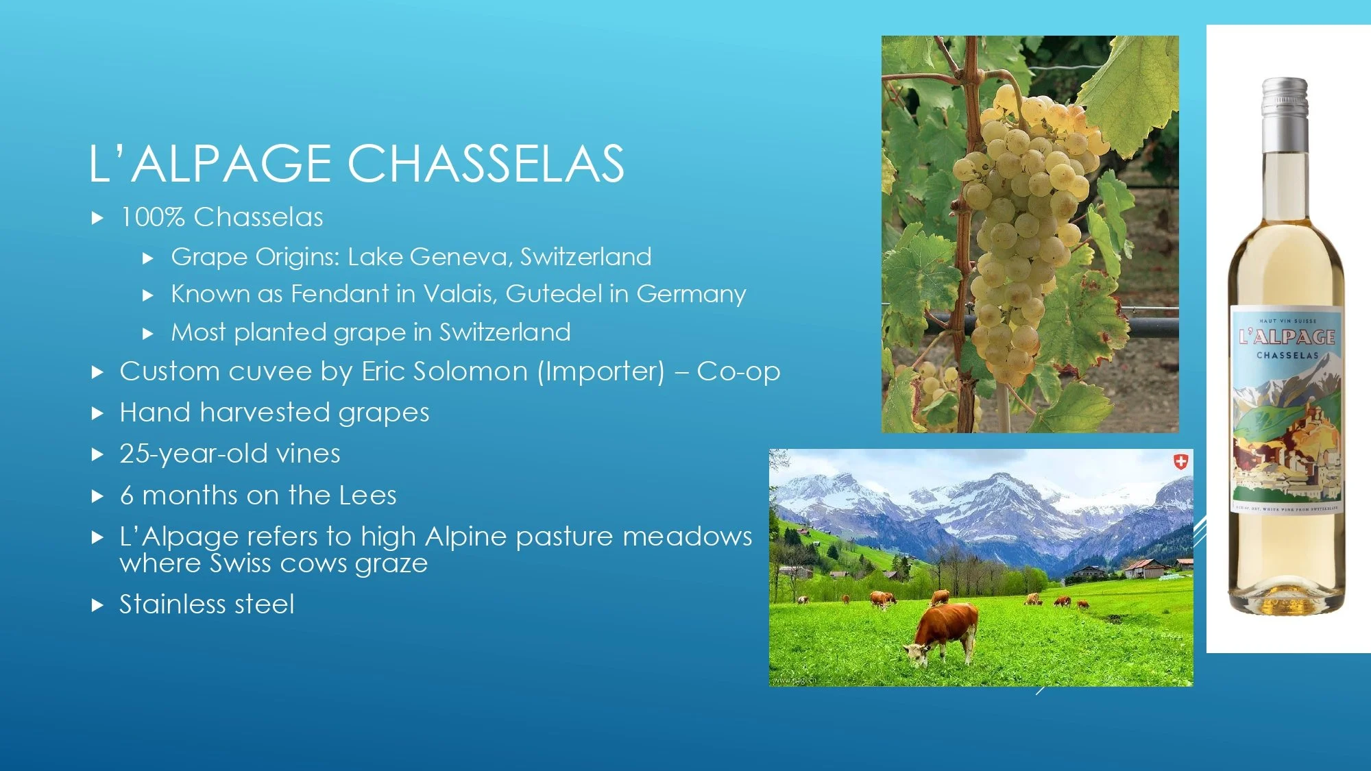 Apres Ski Region of Focus_page-0032.jpg