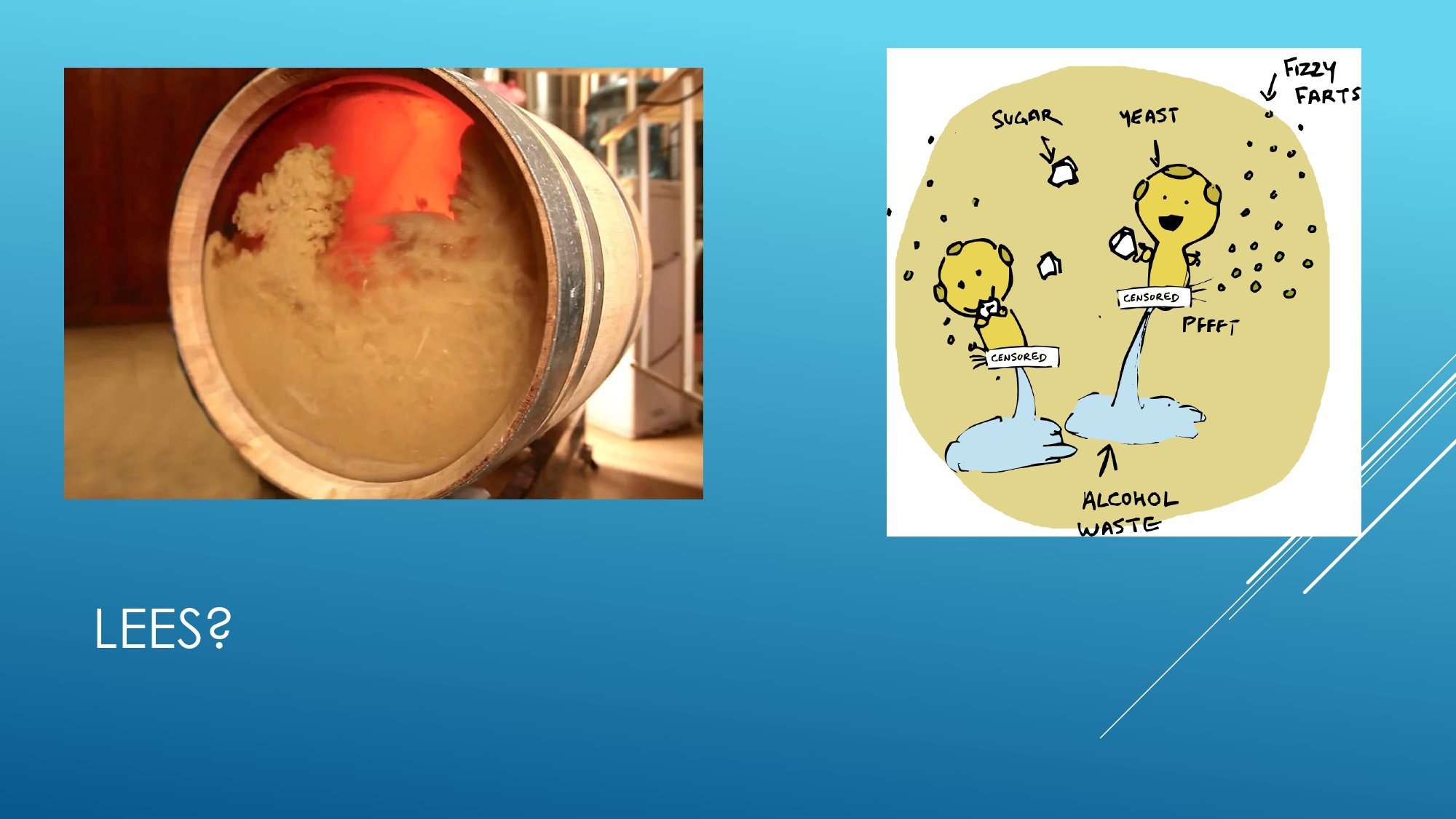 Apres Ski Region of Focus_page-0034.jpg