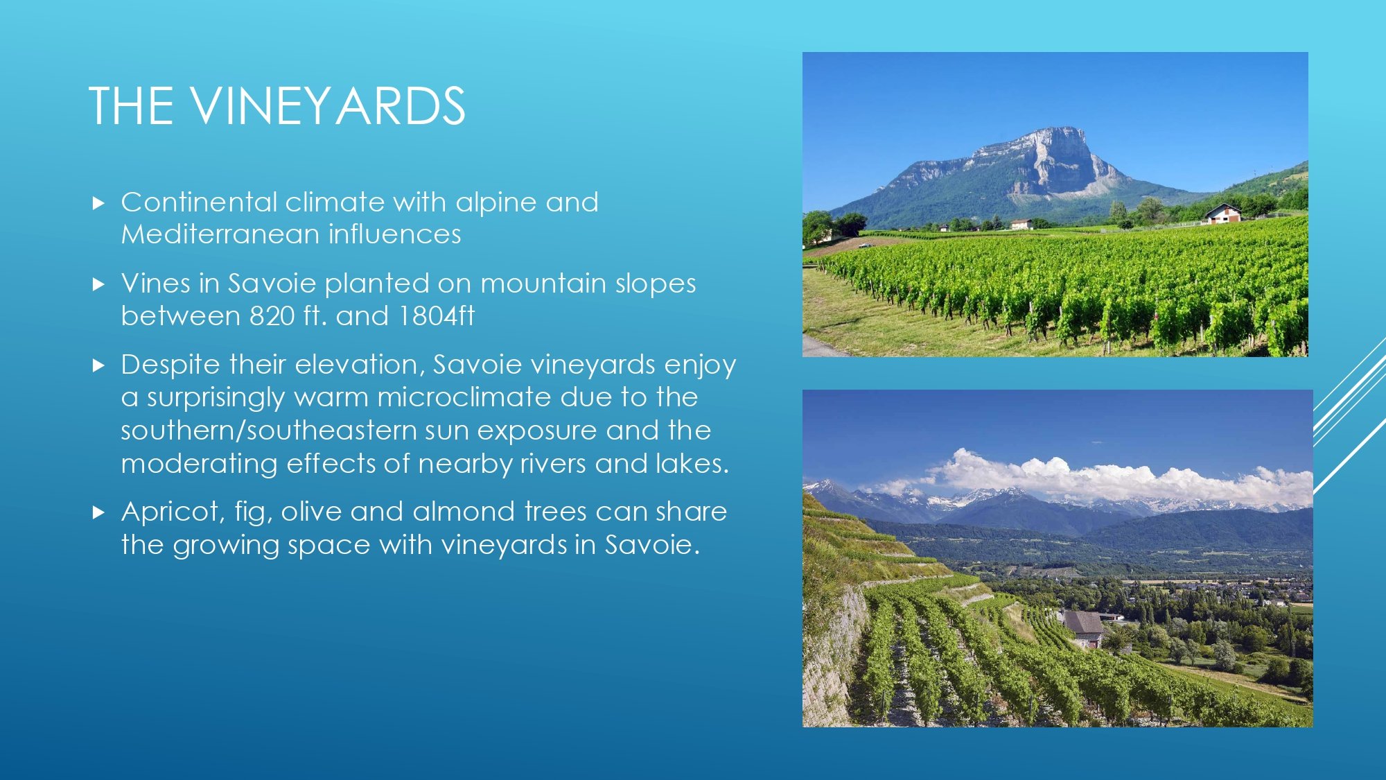 Apres Ski Region of Focus_page-0042.jpg