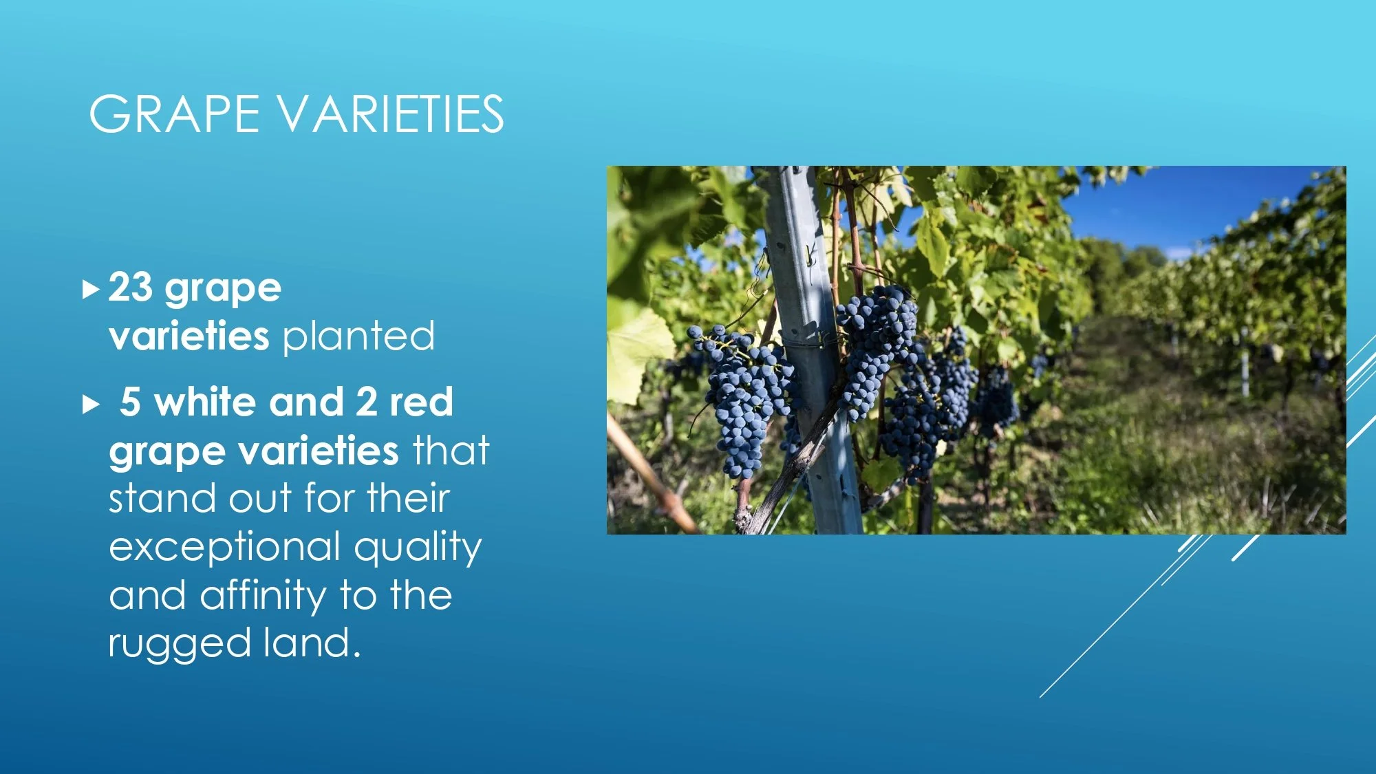 Apres Ski Region of Focus_page-0043.jpg