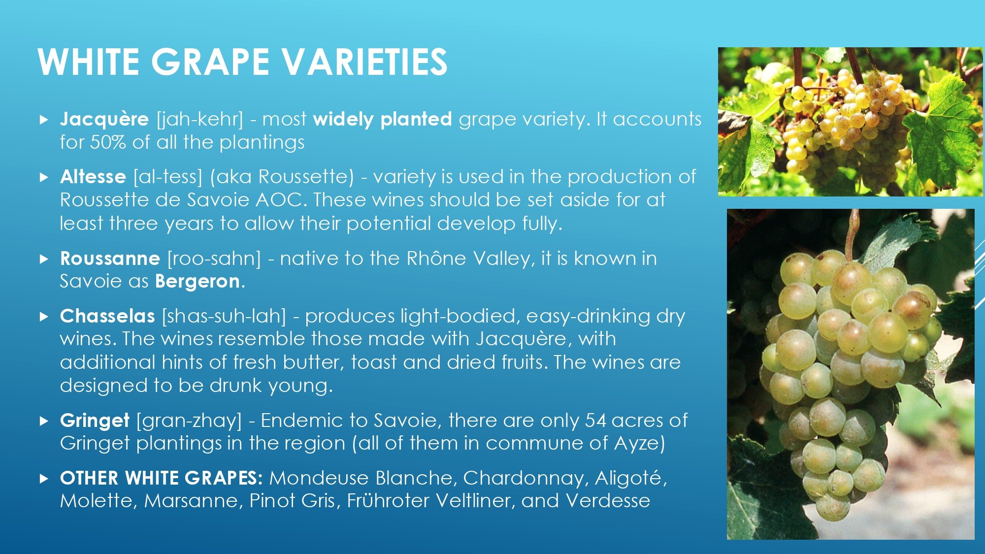 Apres Ski Region of Focus_page-0044.jpg