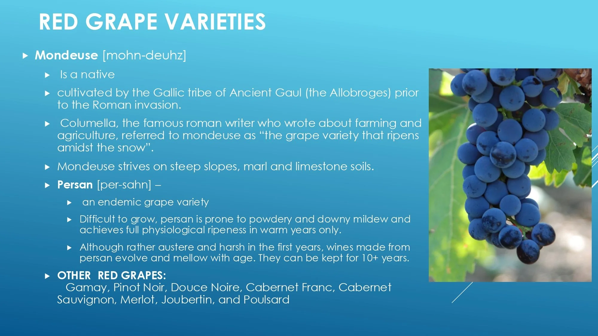 Apres Ski Region of Focus_page-0045.jpg