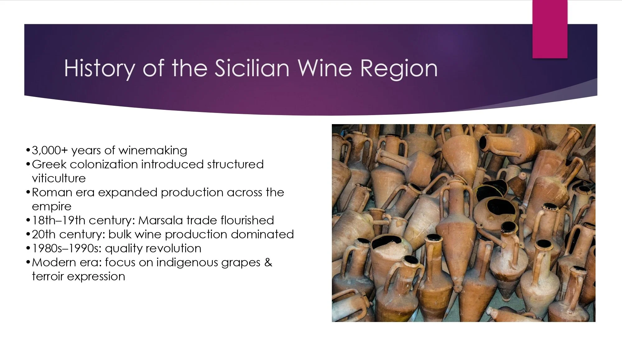 Sicily Staff Training.pptx_page-0004.jpg