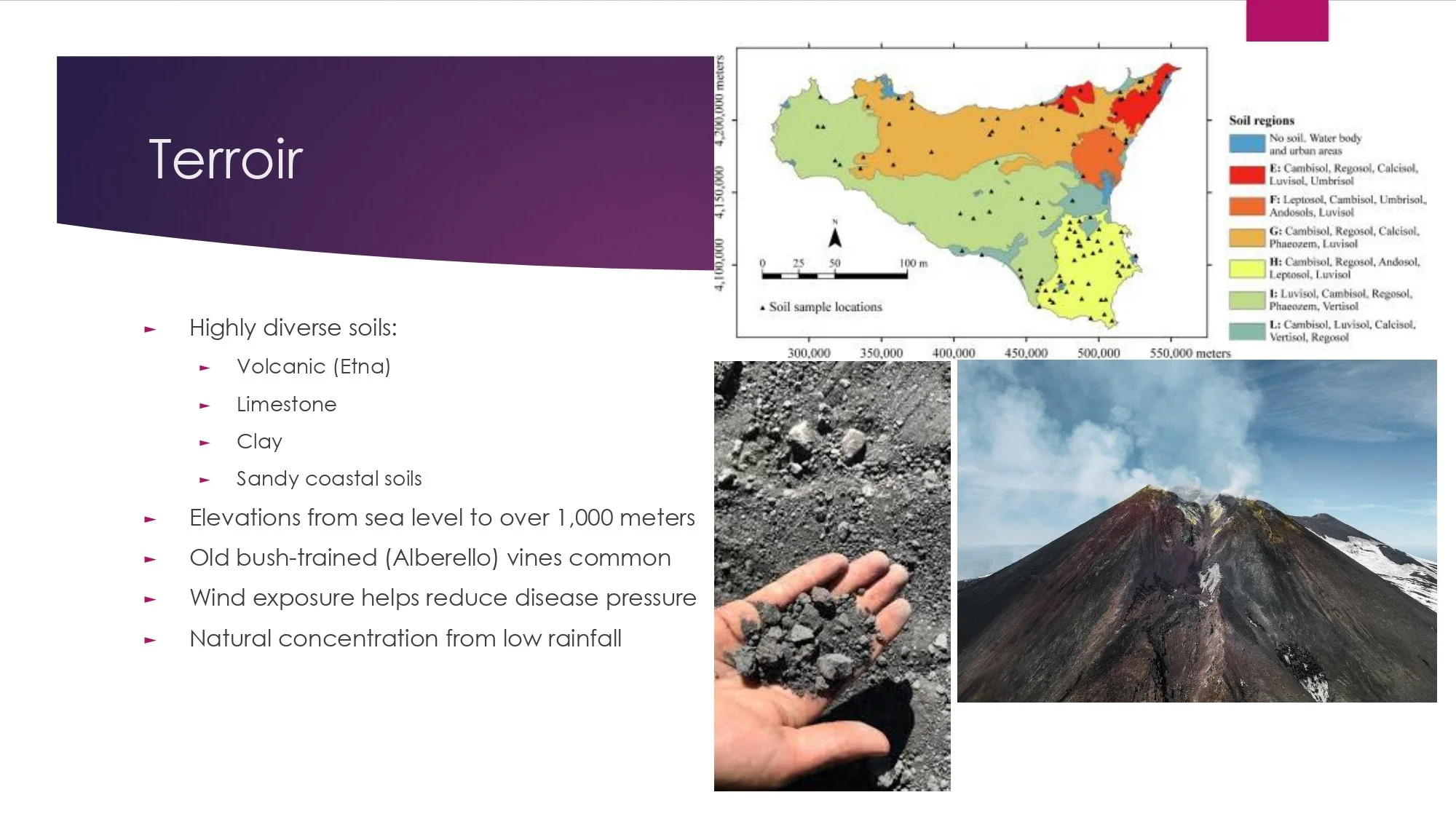 Sicily Staff Training.pptx_page-0006.jpg