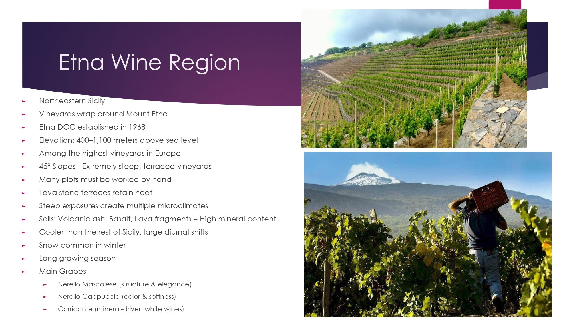 Sicily Staff Training.pptx_page-0008.jpg