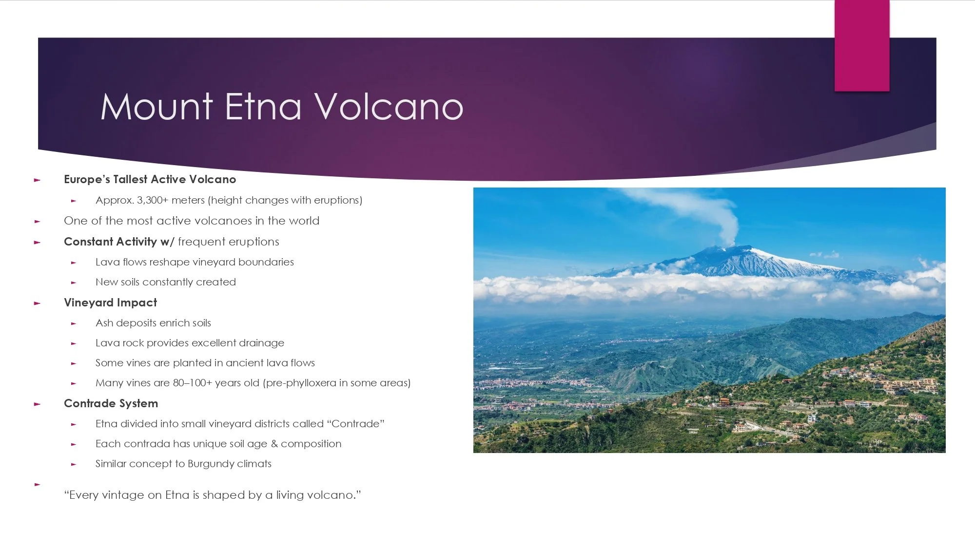 Sicily Staff Training.pptx_page-0009.jpg