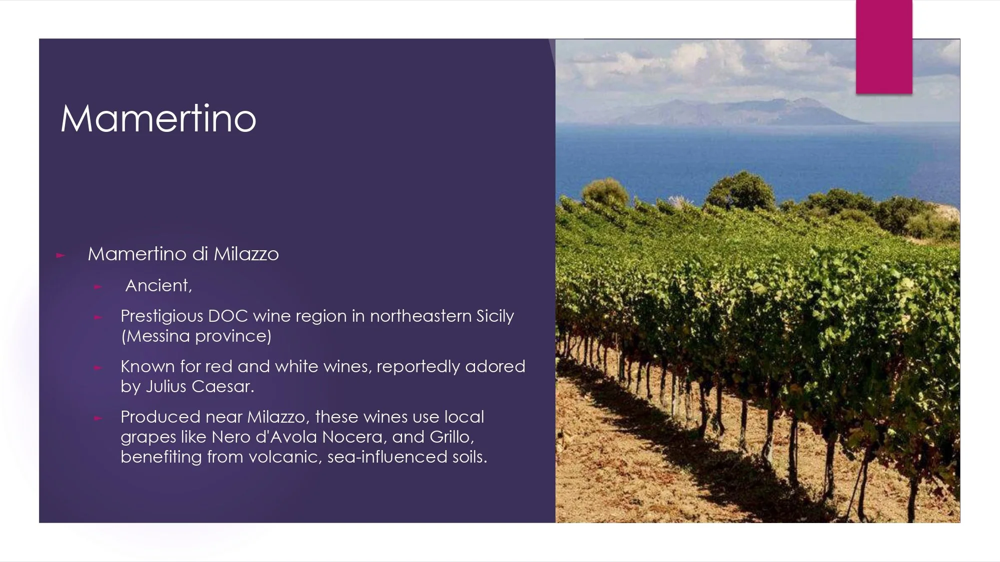 Sicily Staff Training.pptx_page-0011.jpg