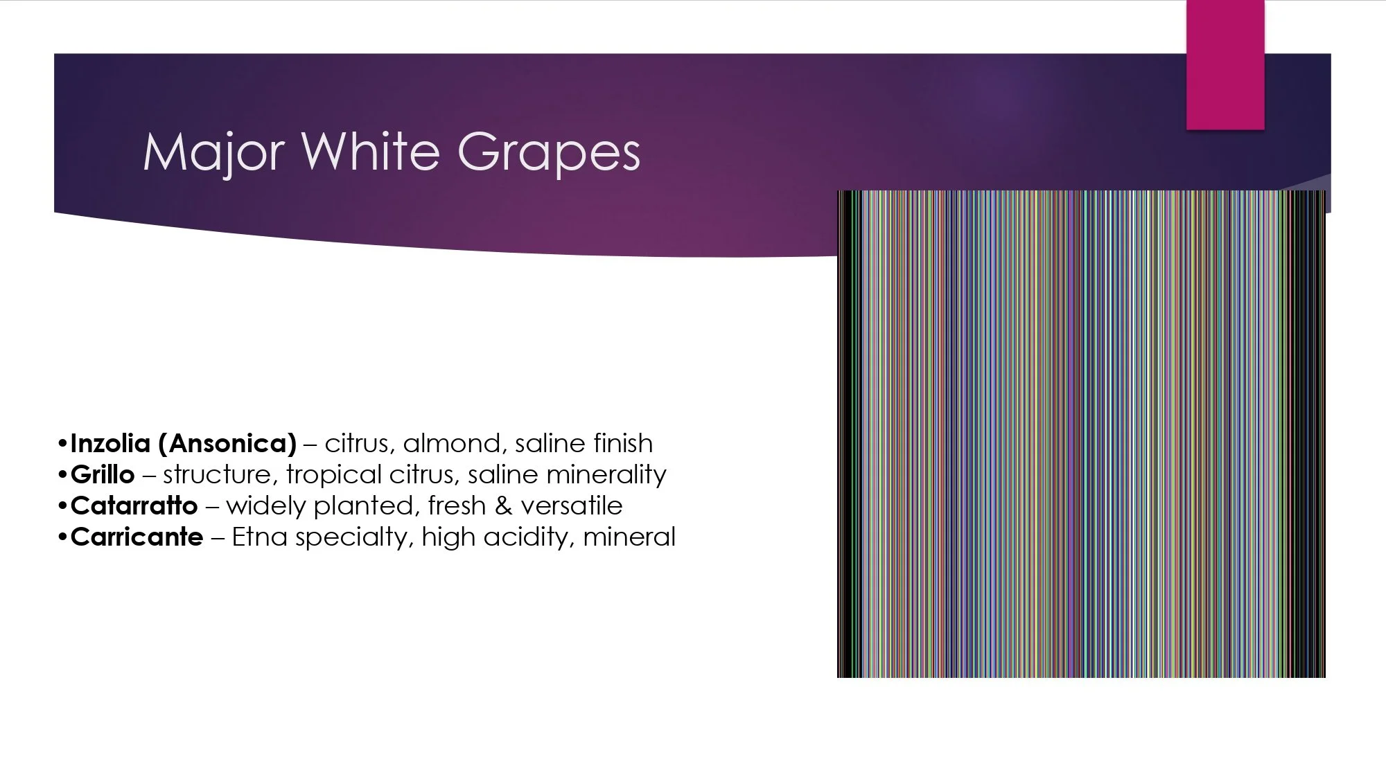 Sicily Staff Training.pptx_page-0012.jpg