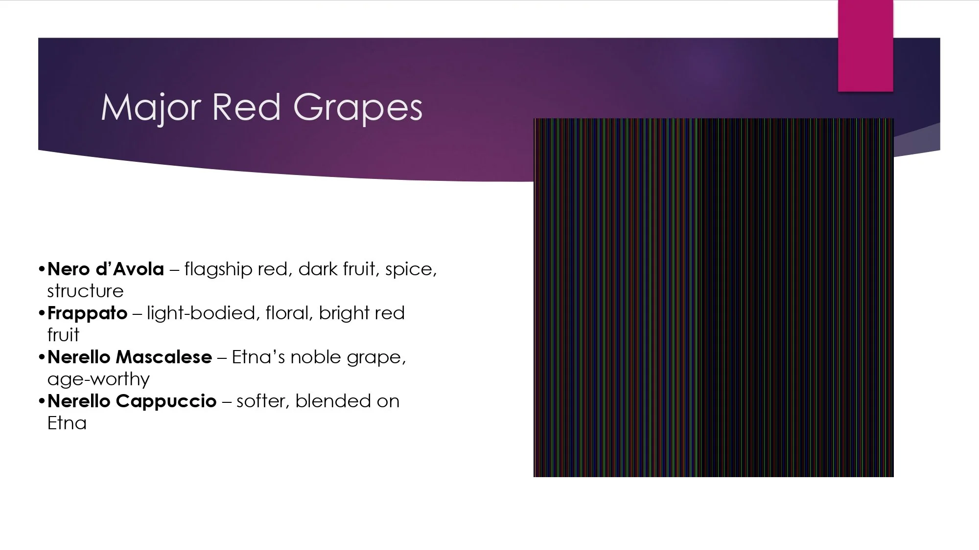 Sicily Staff Training.pptx_page-0013.jpg