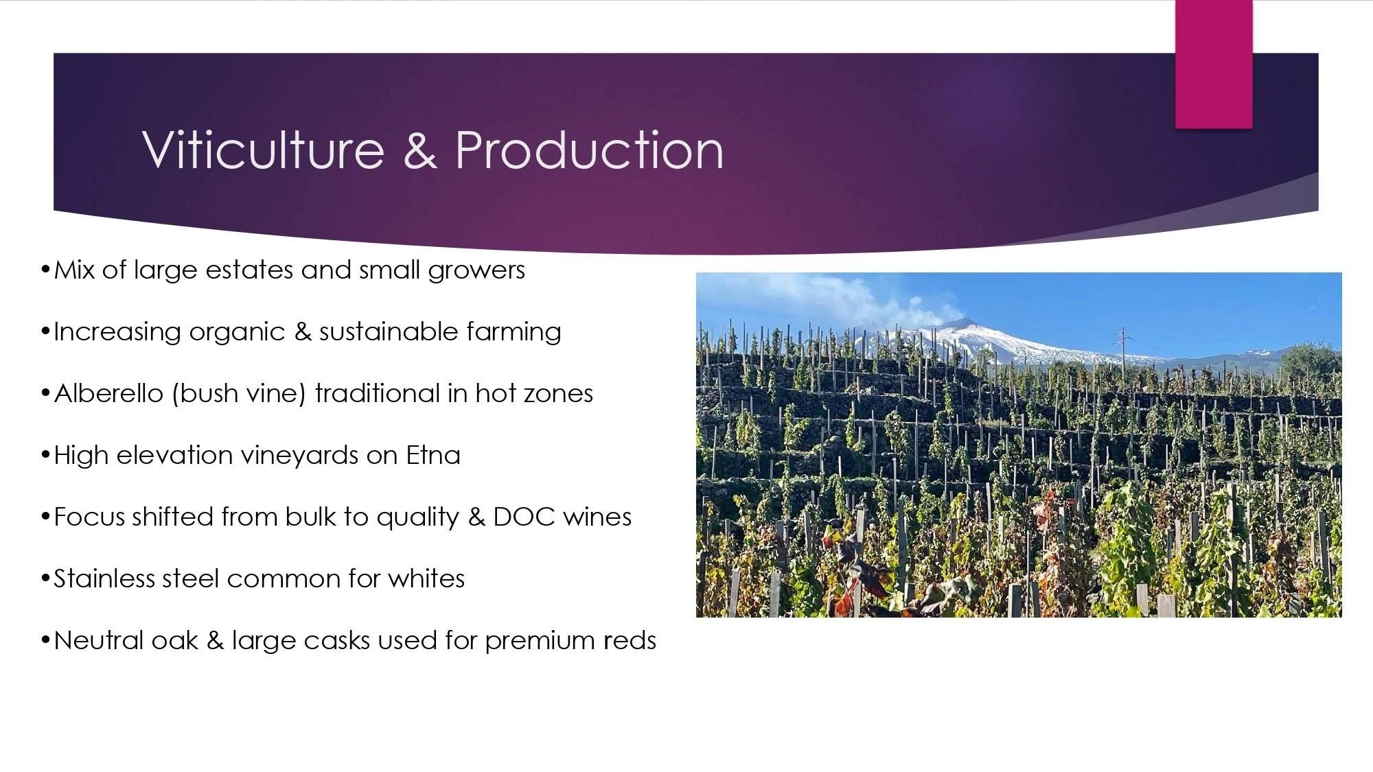 Sicily Staff Training.pptx_page-0014.jpg