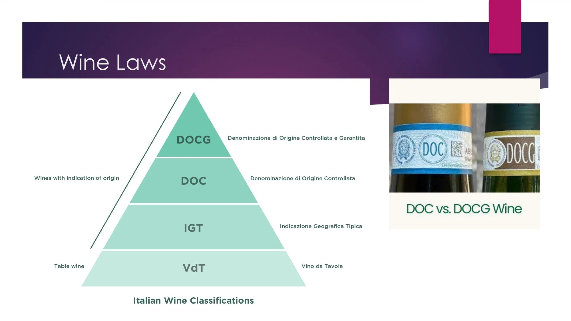 Sicily Staff Training.pptx_page-0015.jpg