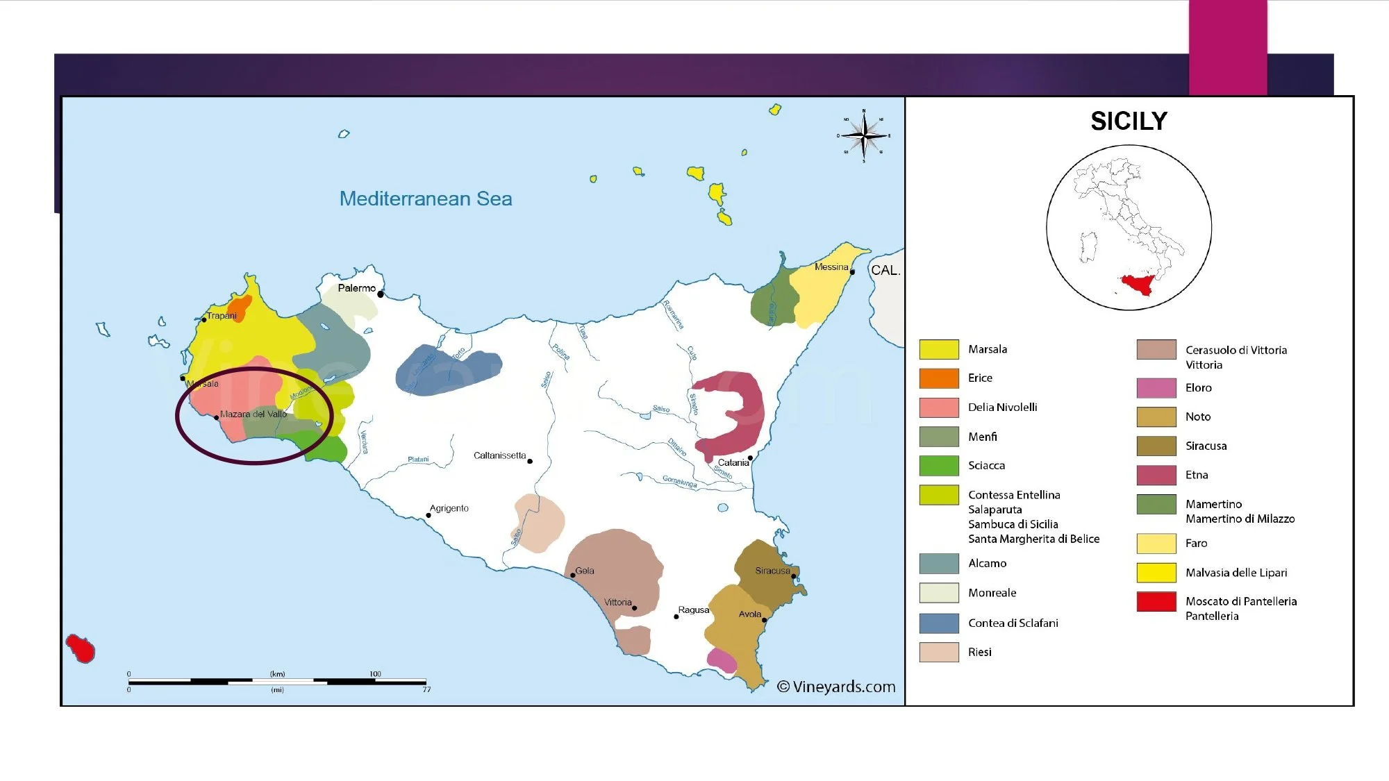 Sicily Staff Training.pptx_page-0018.jpg