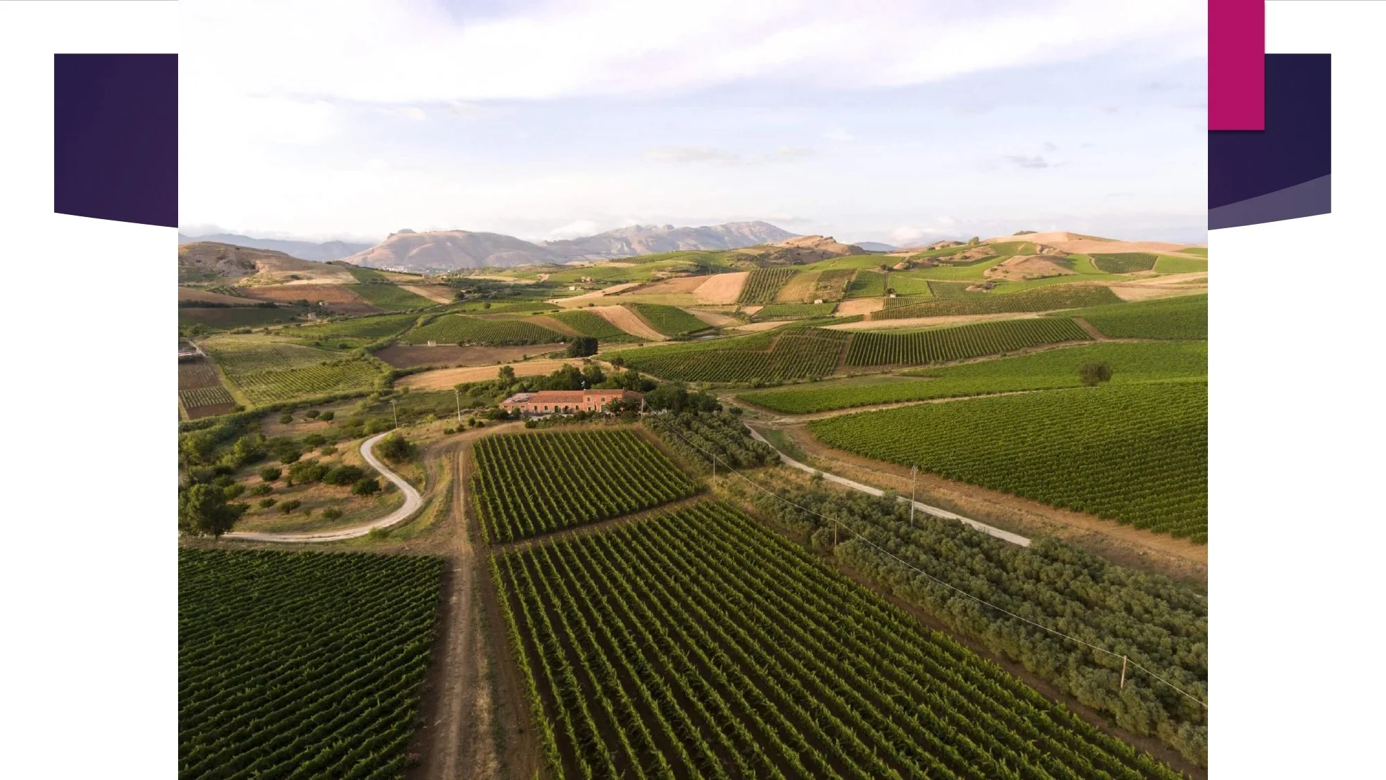 Sicily Staff Training.pptx_page-0019.jpg