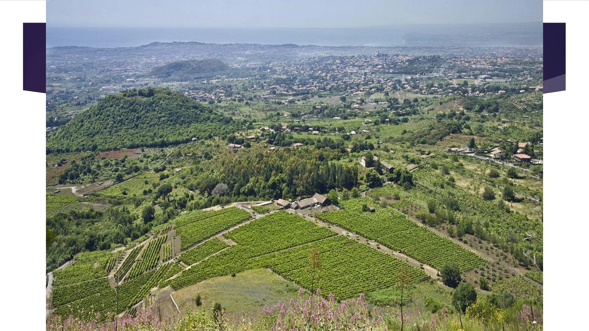 Sicily Staff Training.pptx_page-0022.jpg