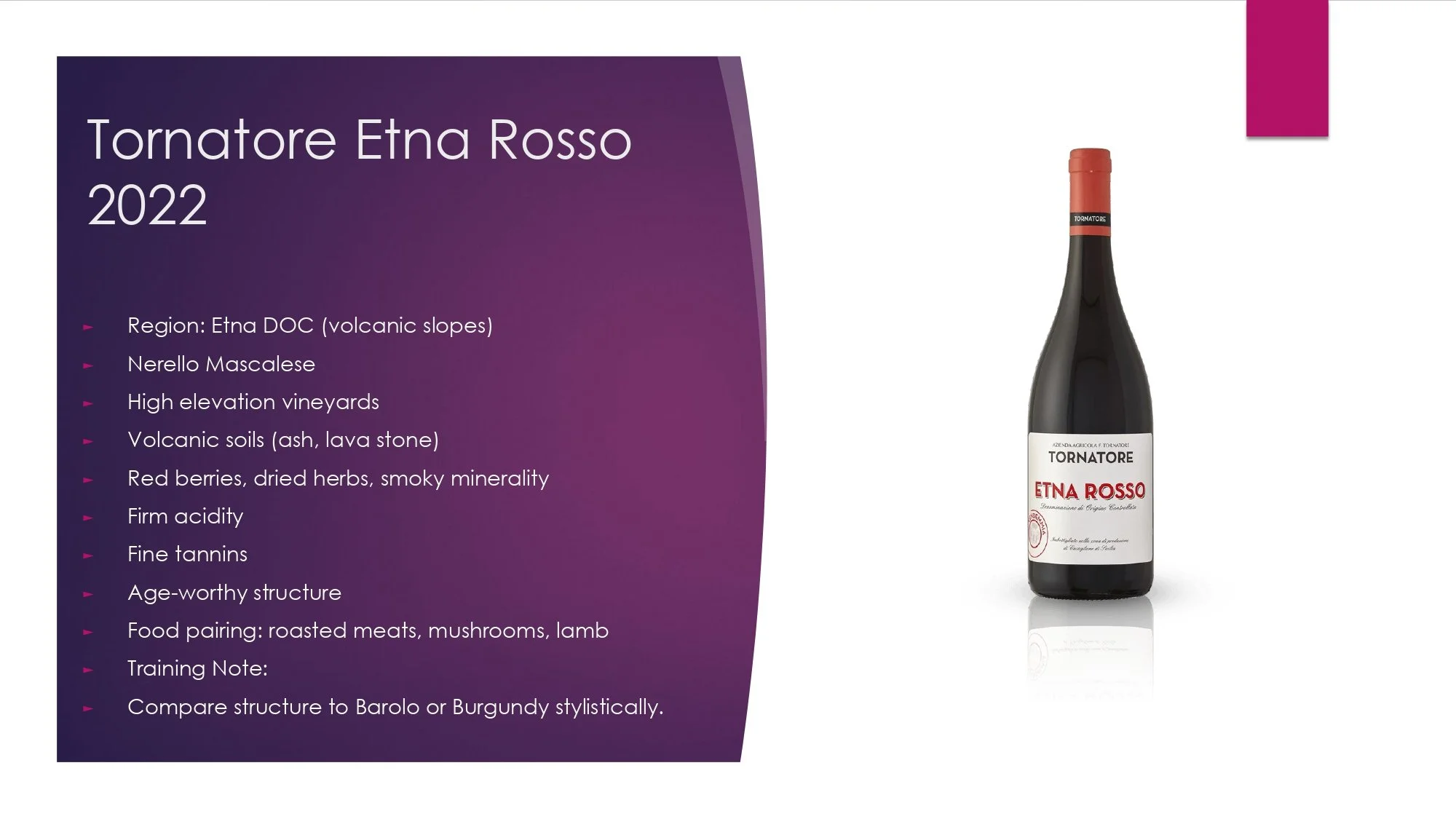 Sicily Staff Training.pptx_page-0024.jpg