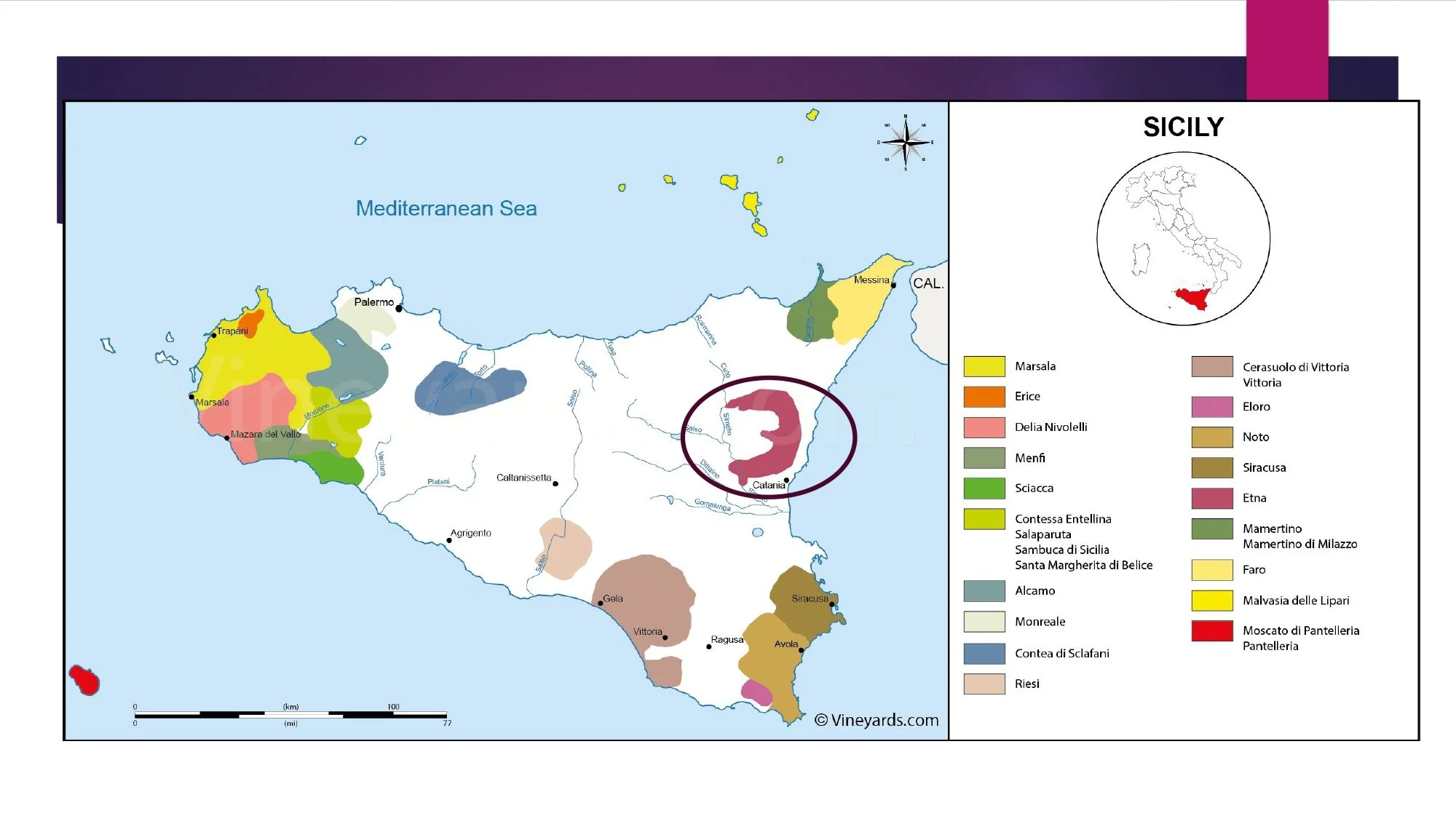 Sicily Staff Training.pptx_page-0026.jpg