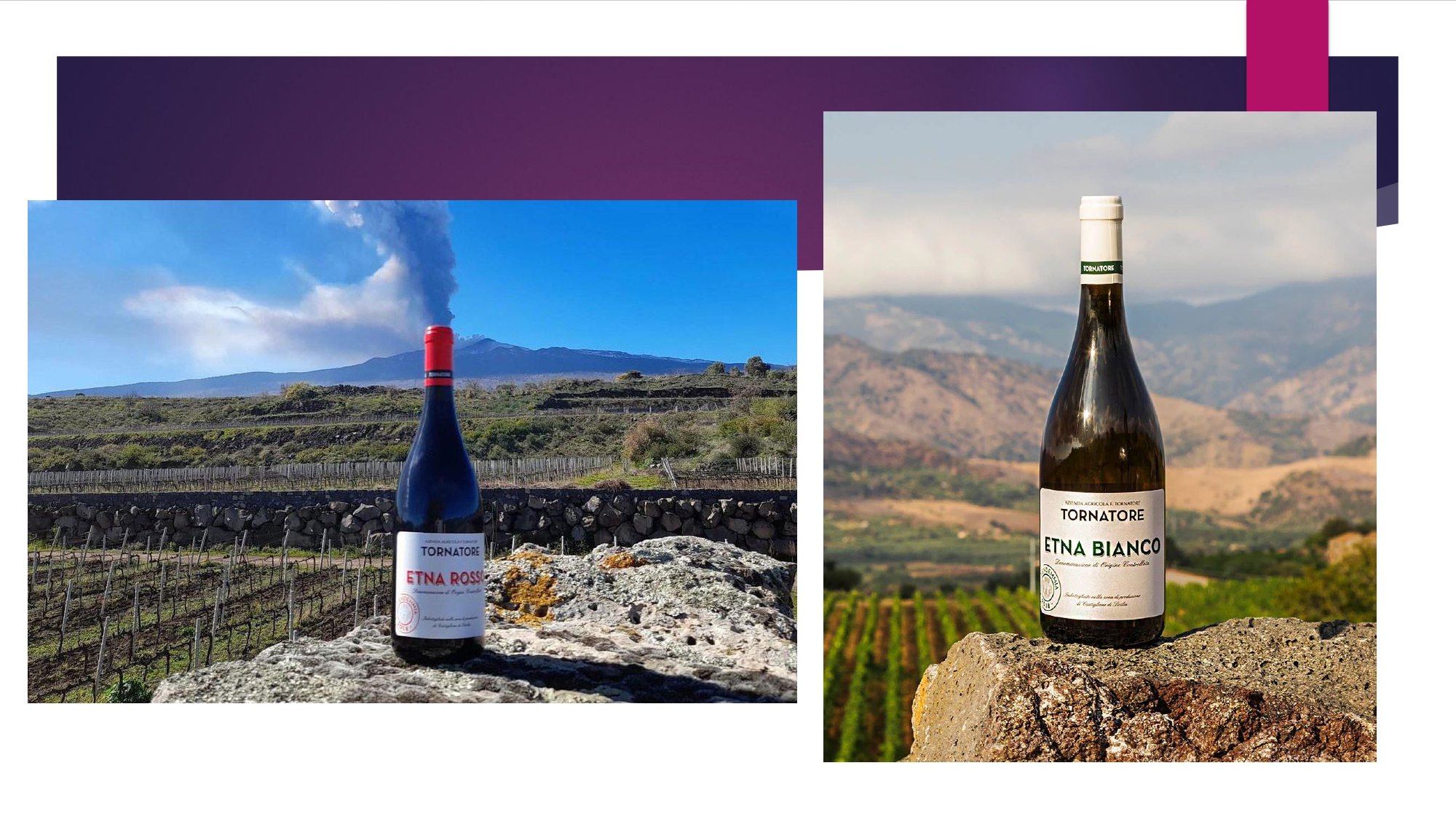 Sicily Staff Training.pptx_page-0025.jpg