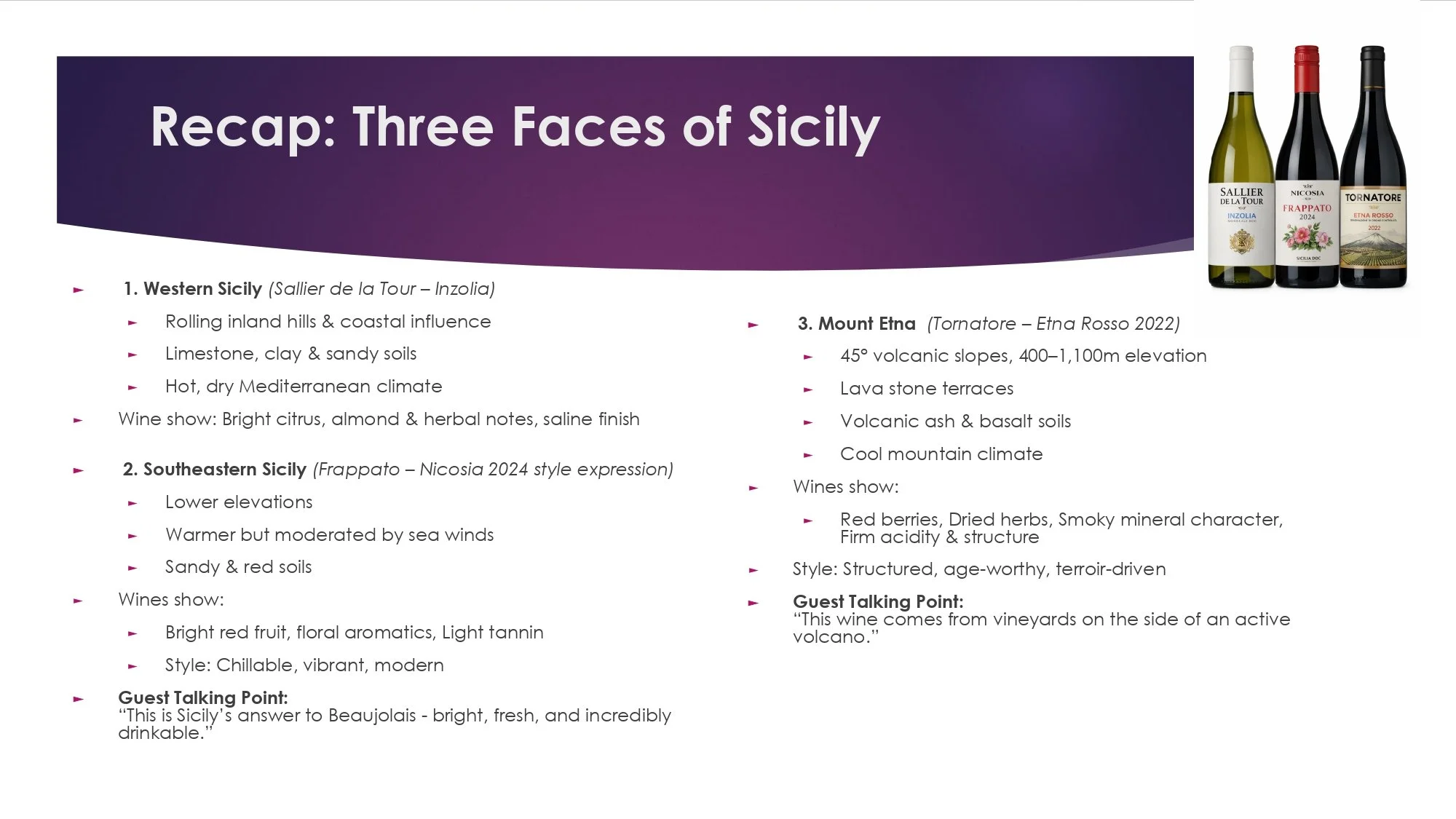 Sicily Staff Training.pptx_page-0027.jpg