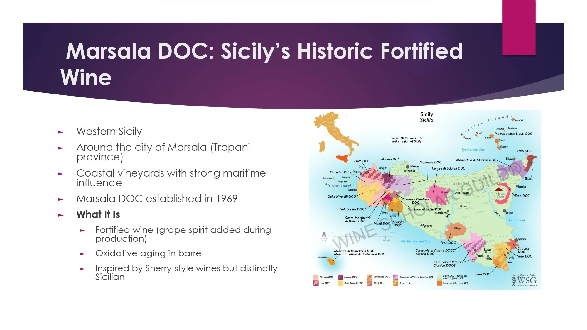 Sicily Staff Training.pptx_page-0028.jpg