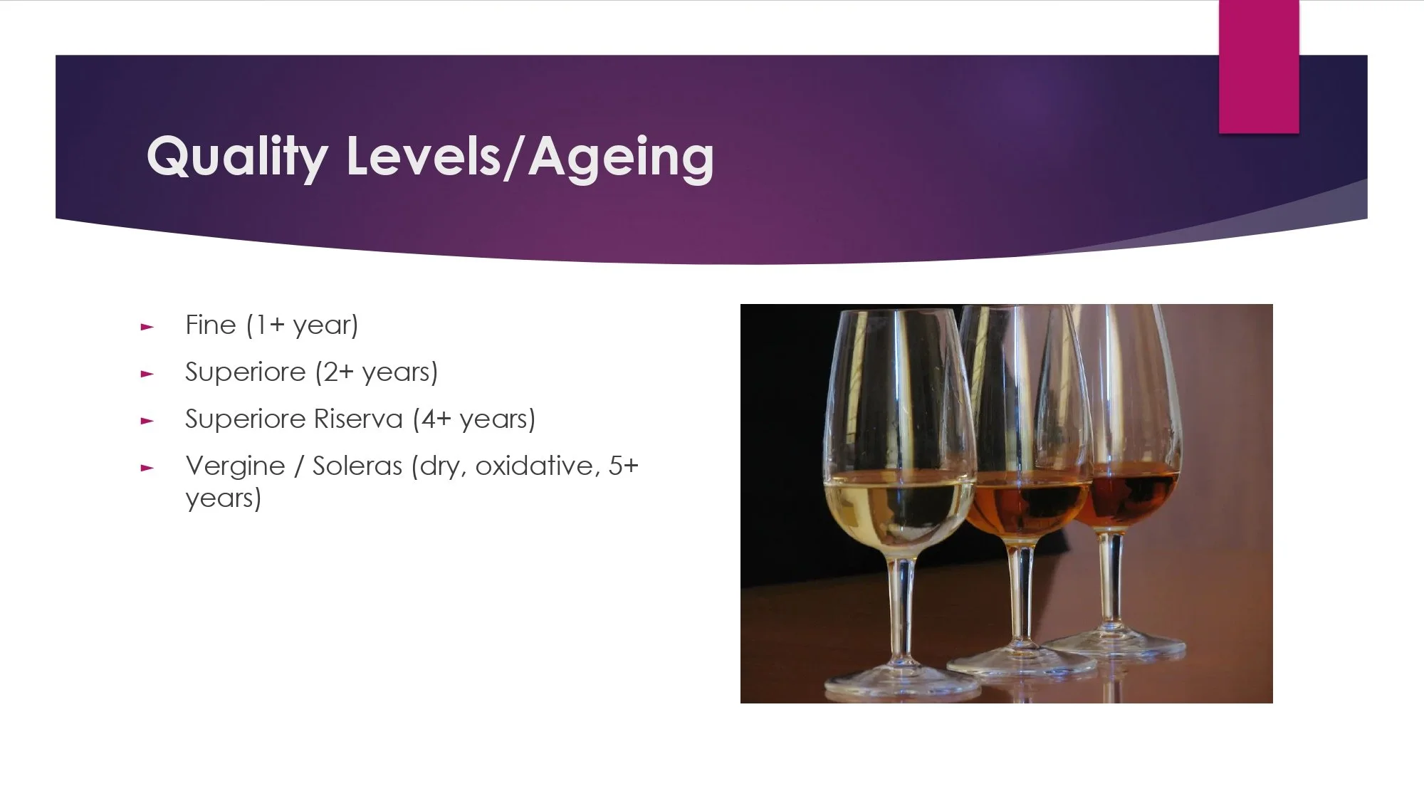 Sicily Staff Training.pptx_page-0031.jpg