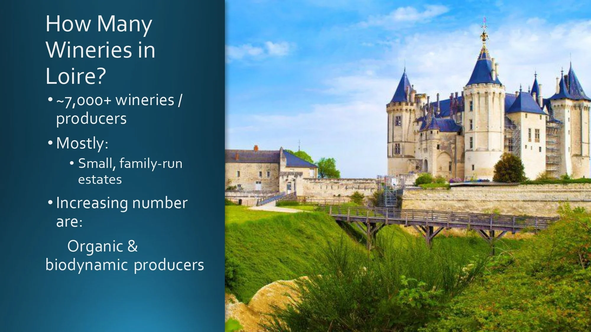 Loire Valley Staff Training.pptx_page-0013.jpg