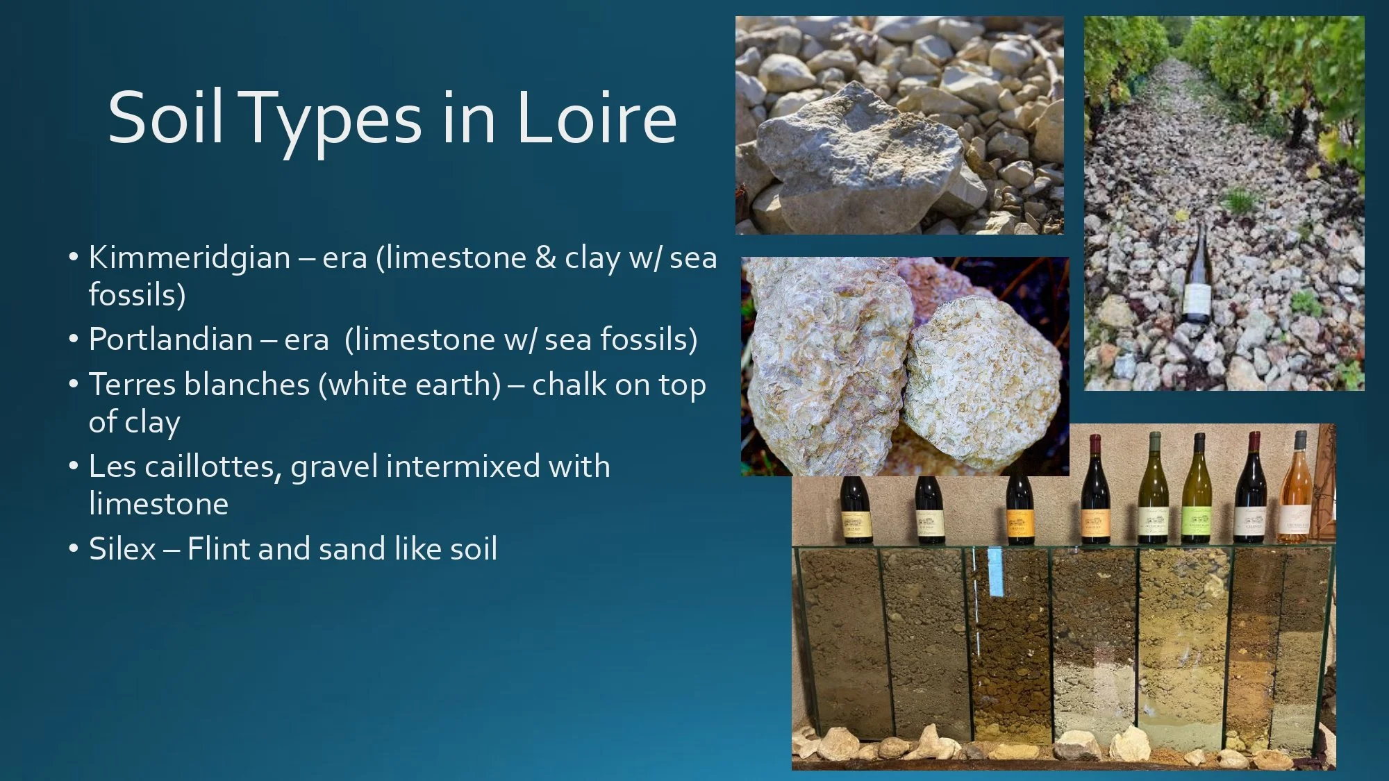 Loire Valley Staff Training.pptx_page-0014.jpg