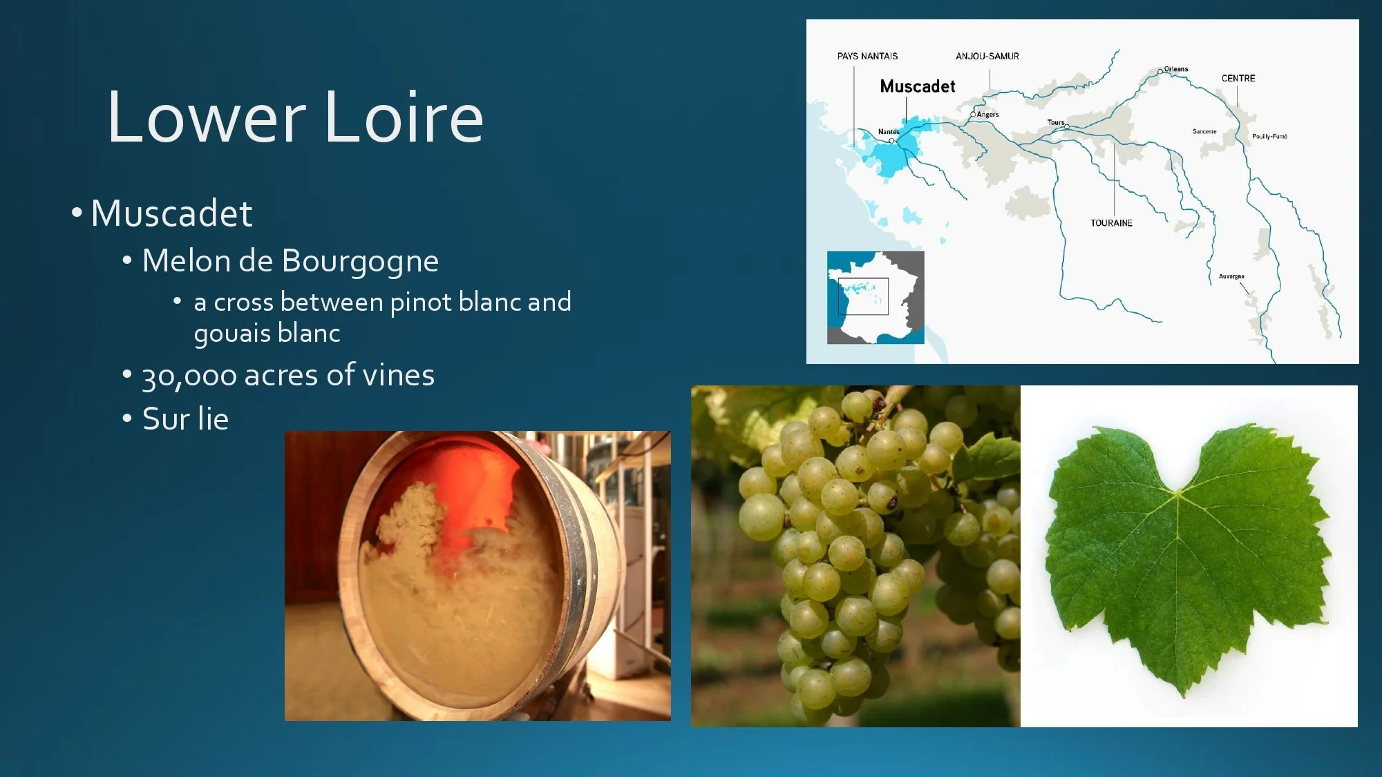 Loire Valley Staff Training.pptx_page-0015.jpg