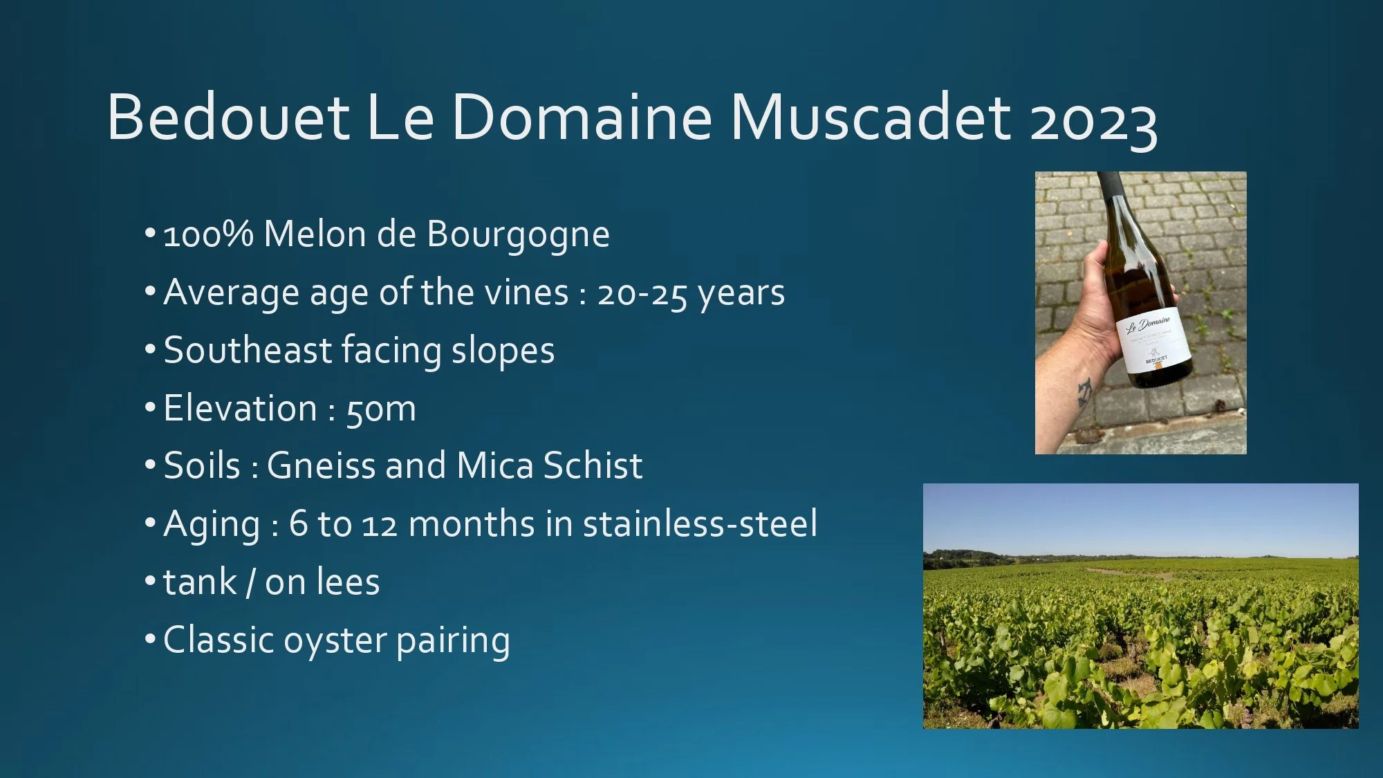 Loire Valley Staff Training.pptx_page-0016.jpg