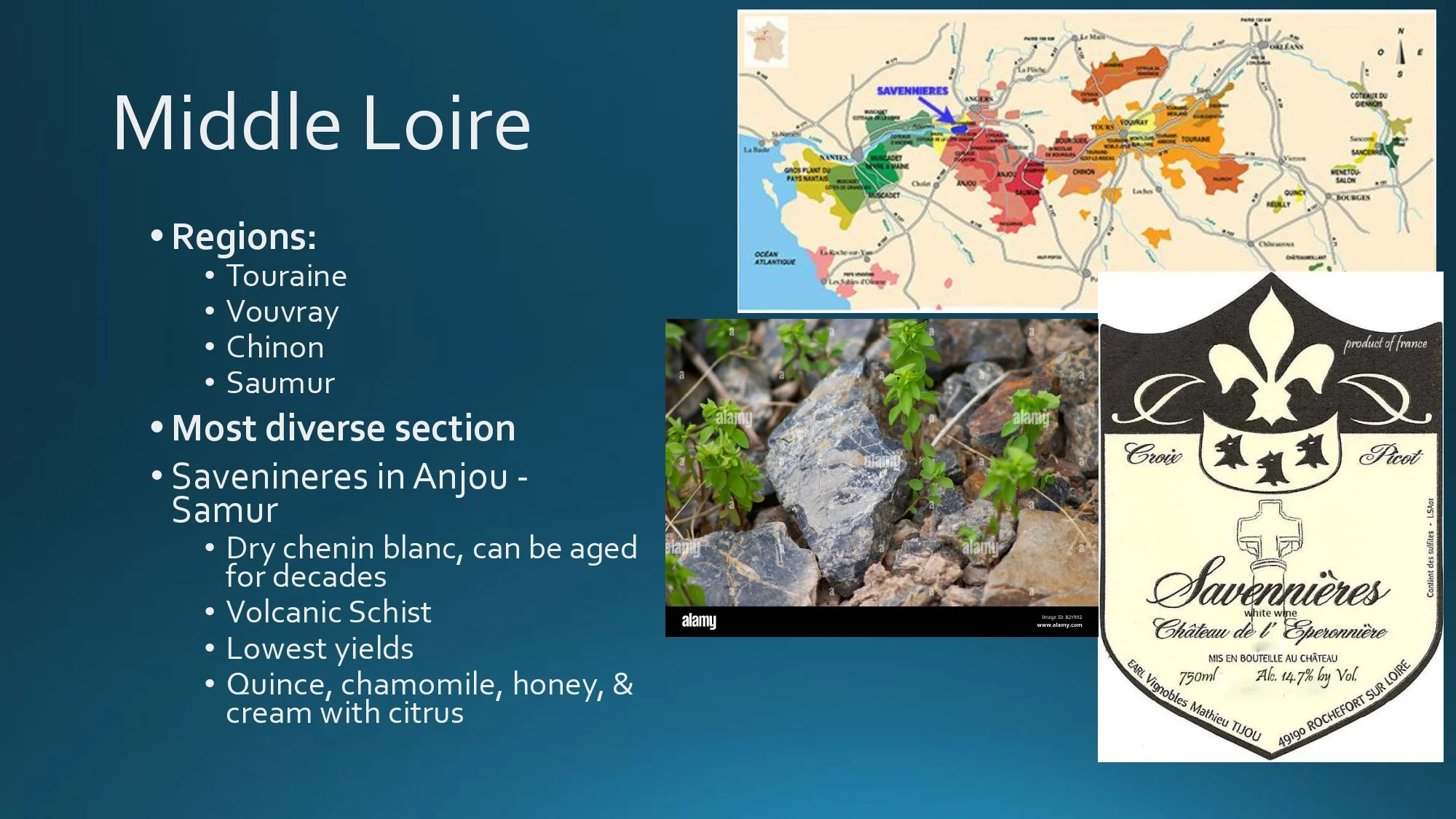 Loire Valley Staff Training.pptx_page-0017.jpg