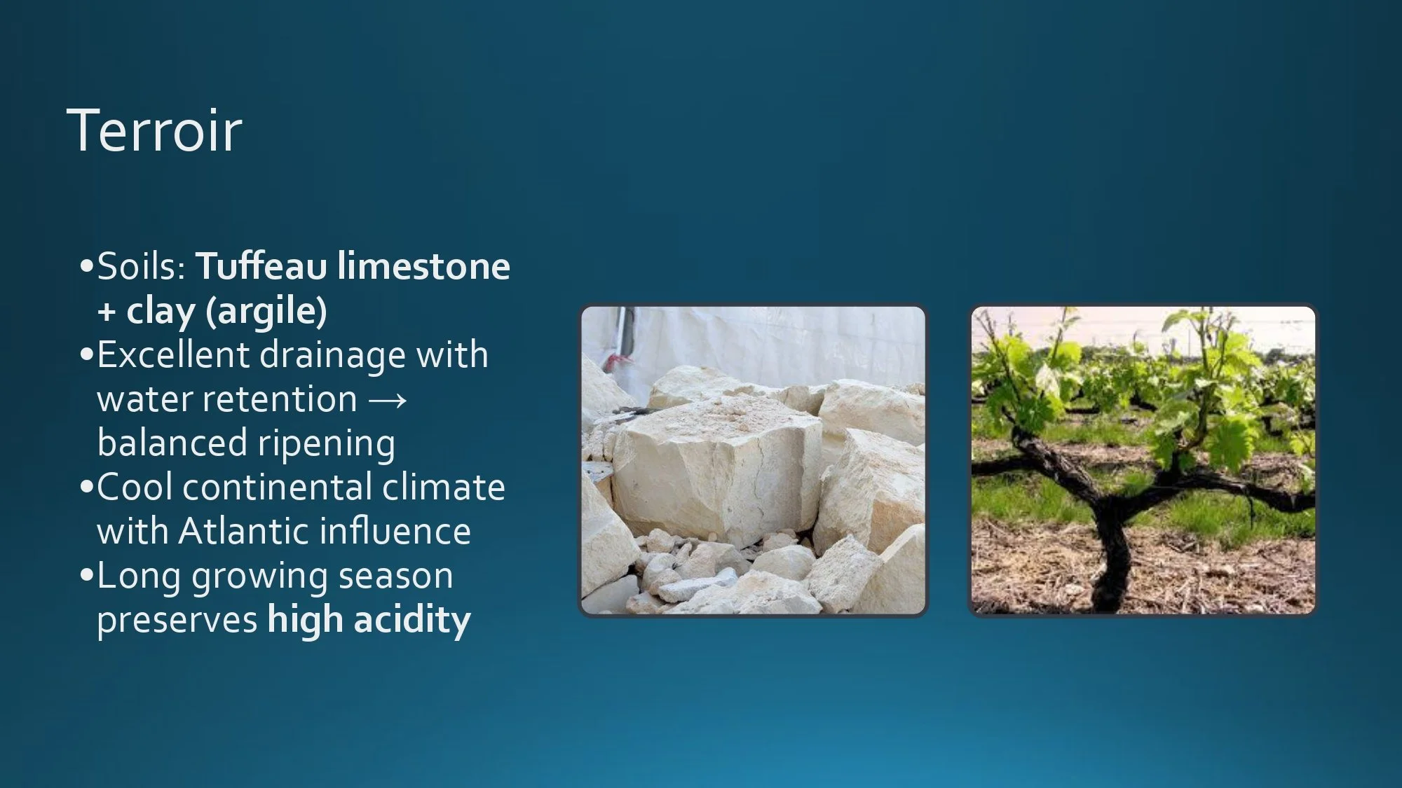 Loire Valley Staff Training.pptx_page-0020.jpg