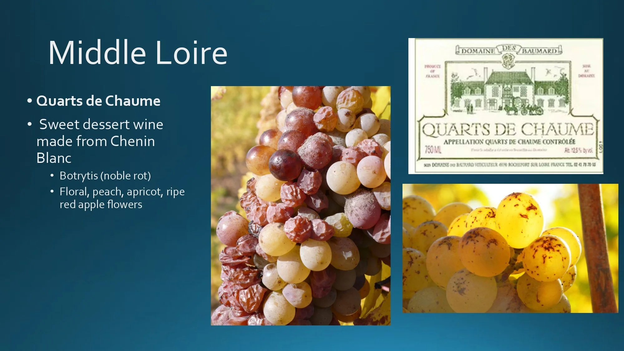 Loire Valley Staff Training.pptx_page-0023.jpg